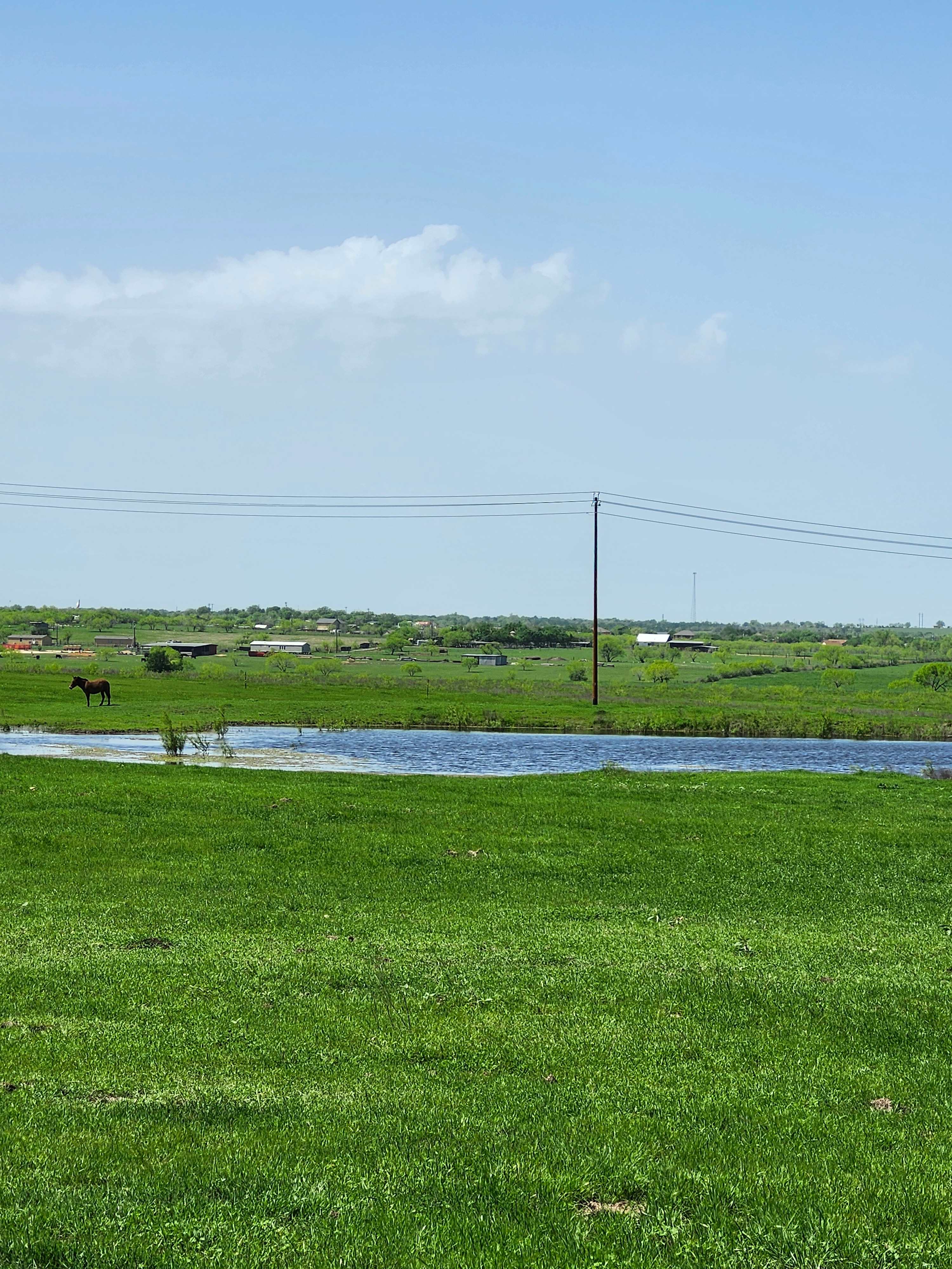 Morrison Farm and Stables