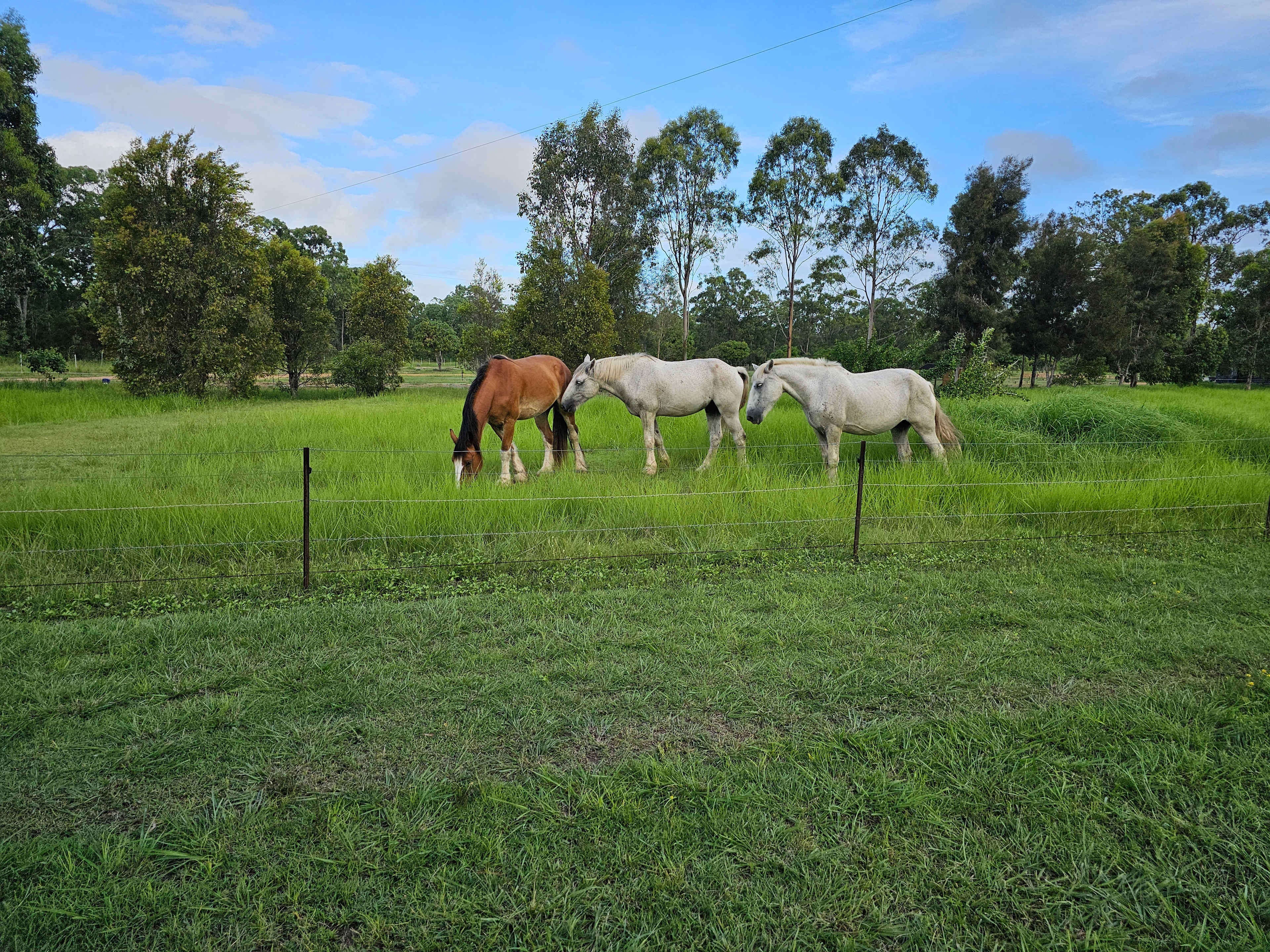 Thyme Travellers Farm Stay