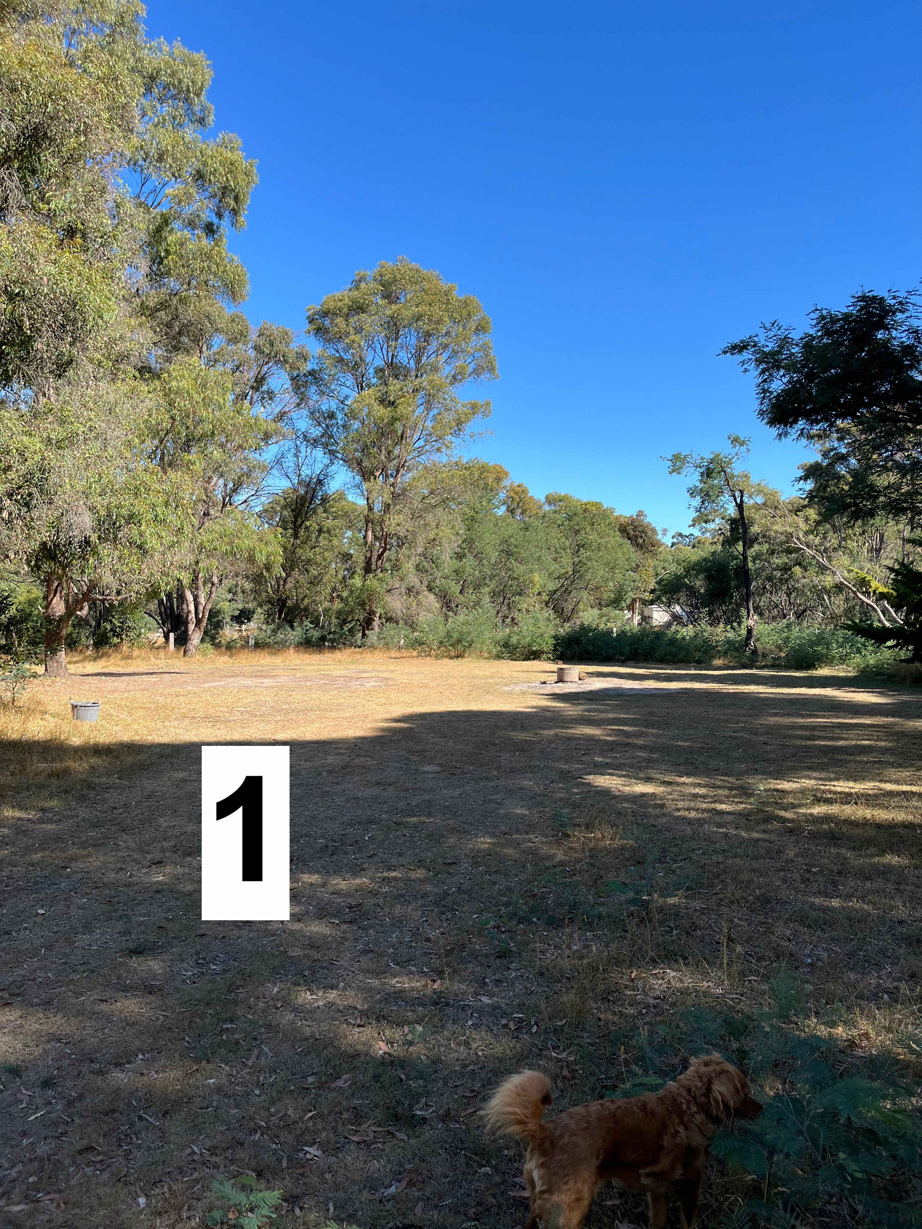 Kyneton Quiet Camp Out