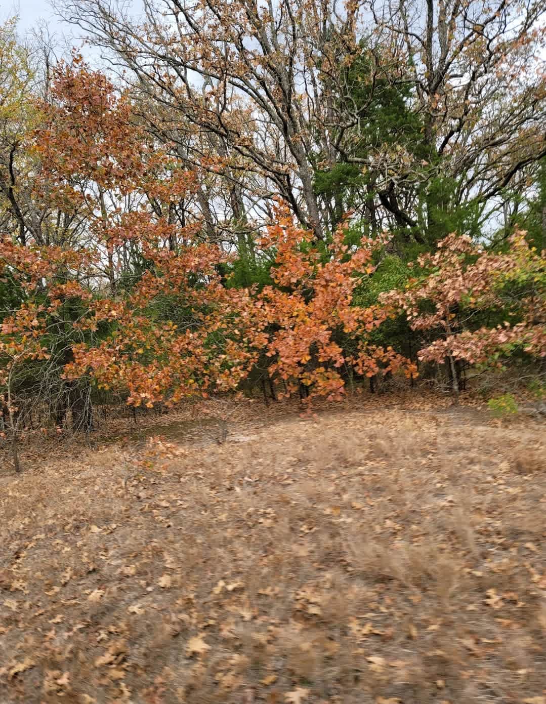 The Retreat