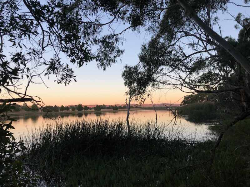 Lancefield Lake's A WETLANDS WONDER
