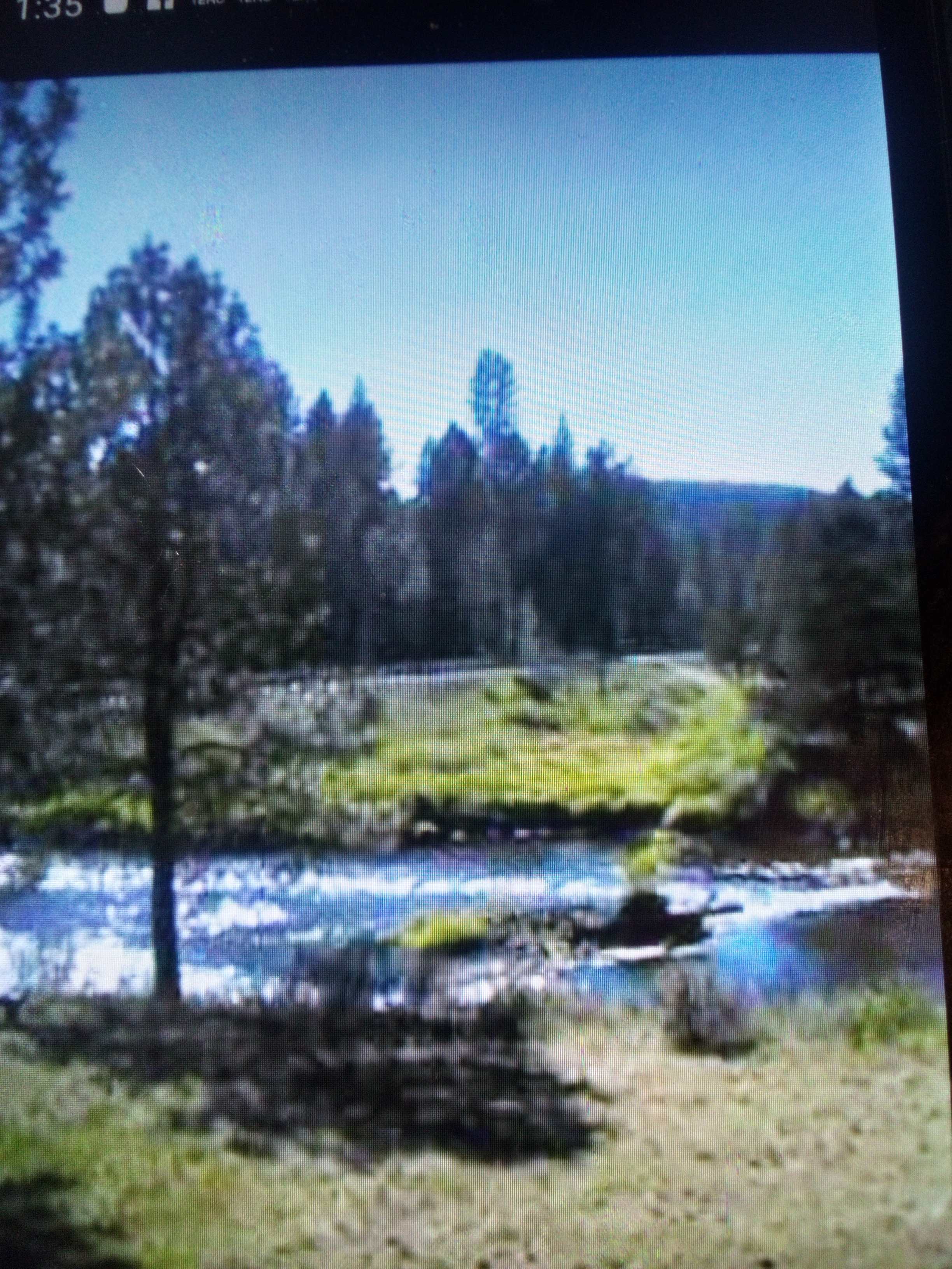 River Pines