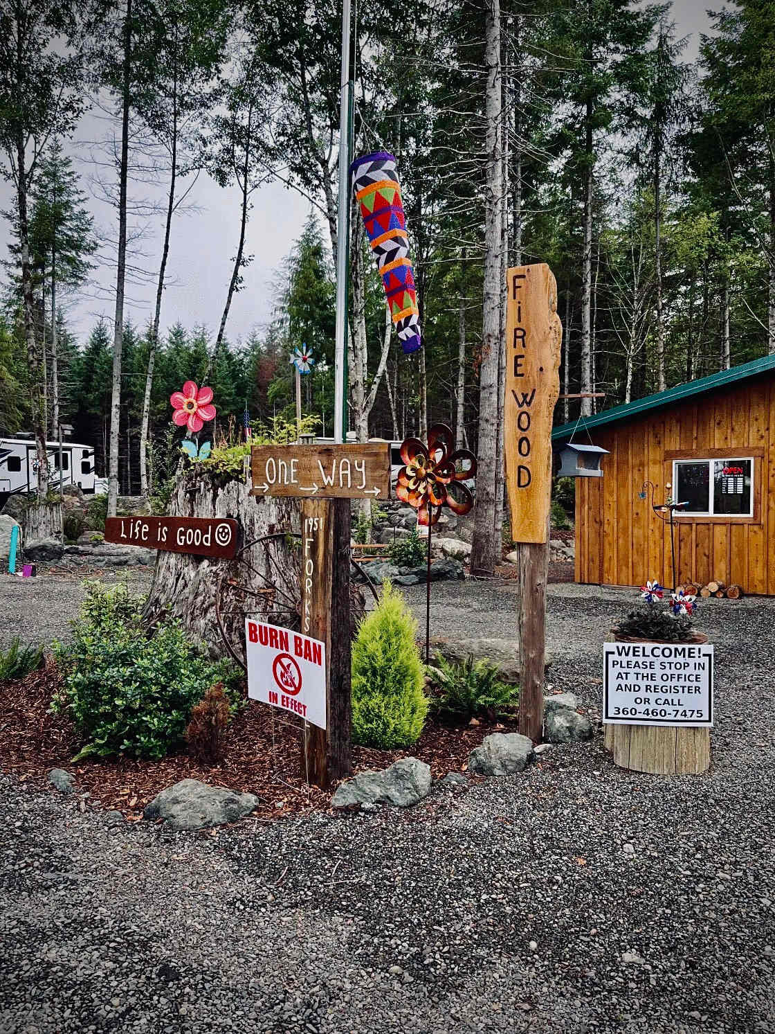 Picture of the site