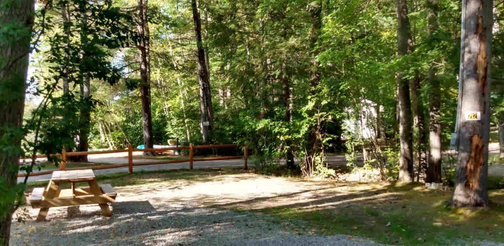 Spacious Skies French Pond Campground