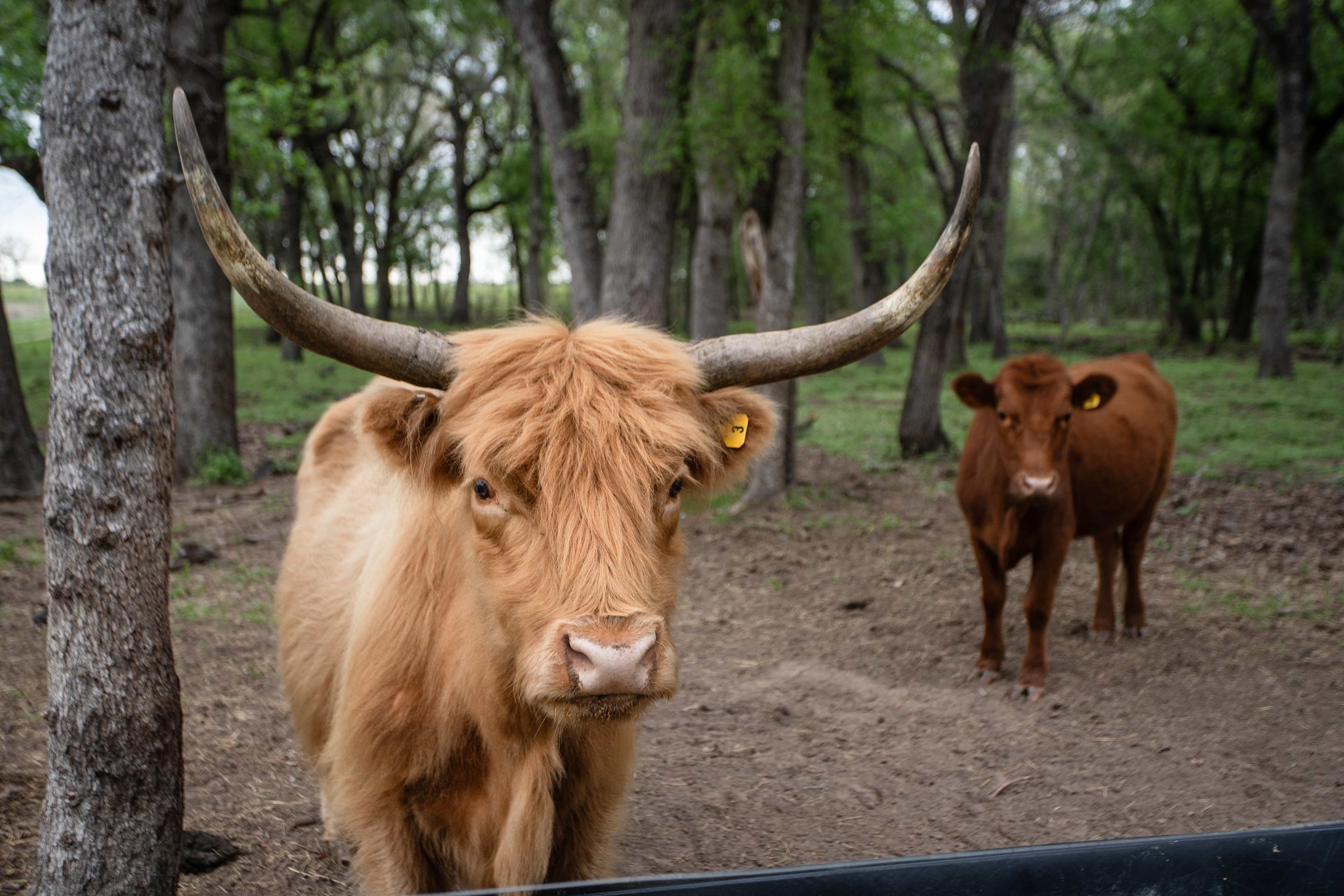 Sandy Grove Ranch