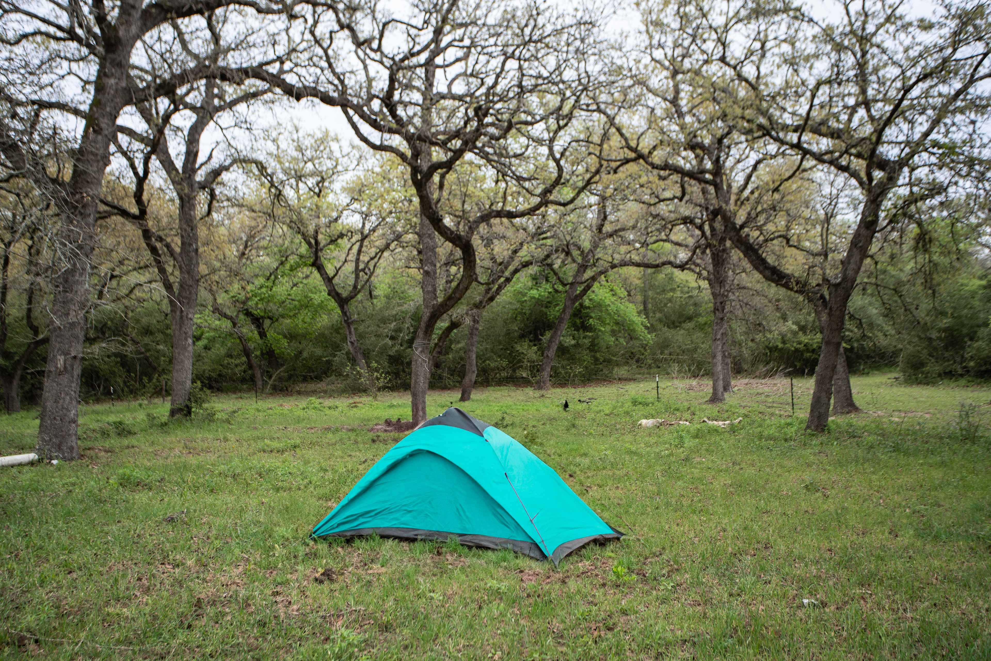 Sandy Grove Ranch