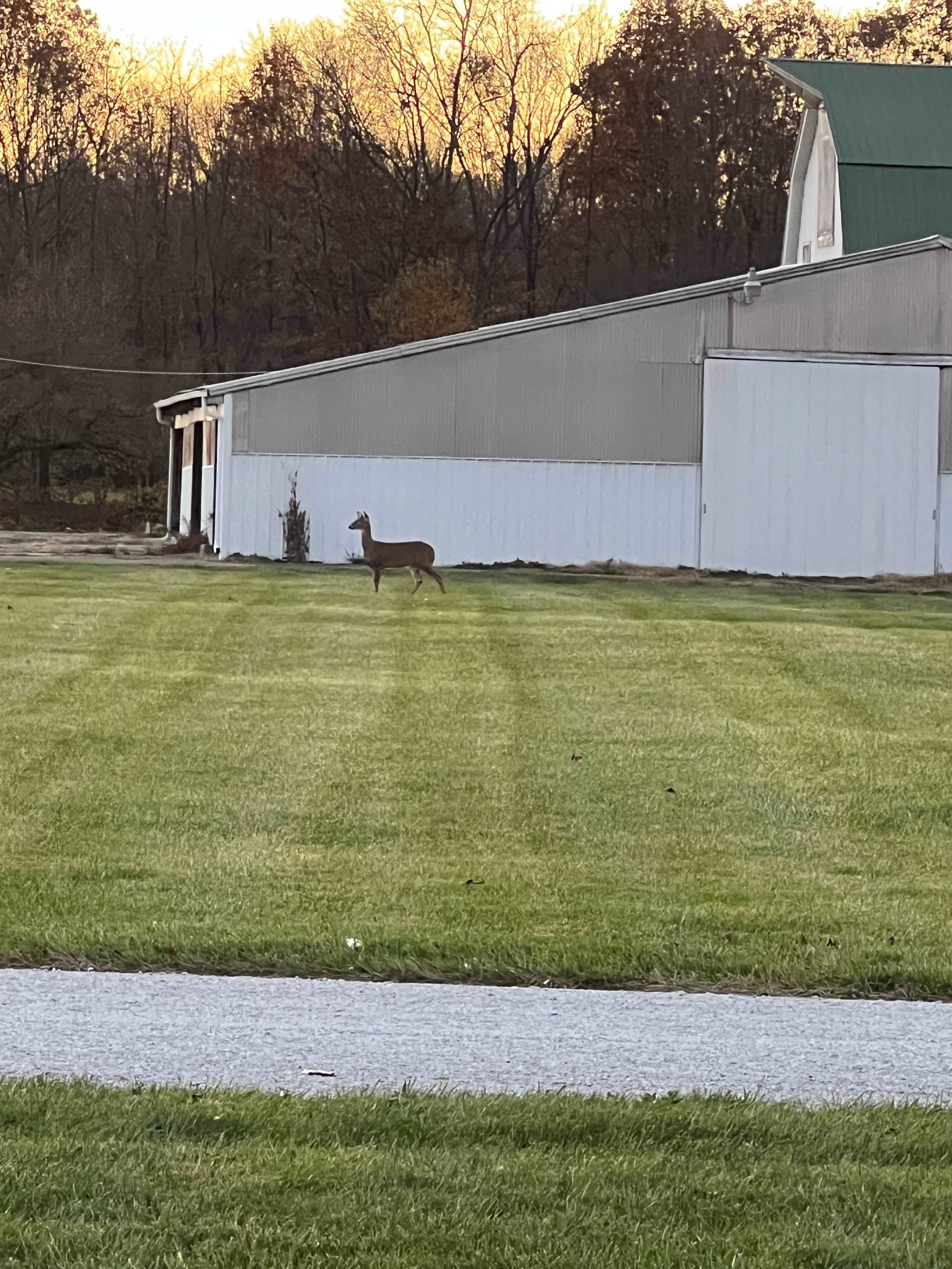English Acres