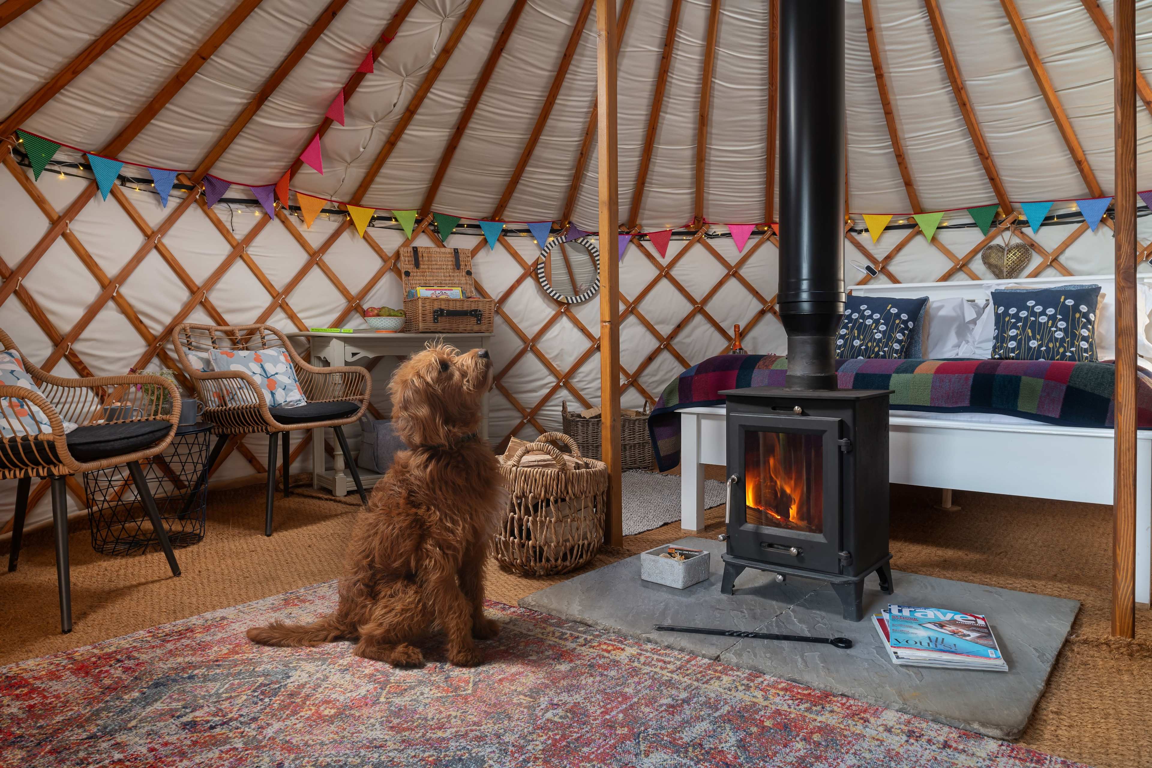Hadrian's Wall Country Yurts