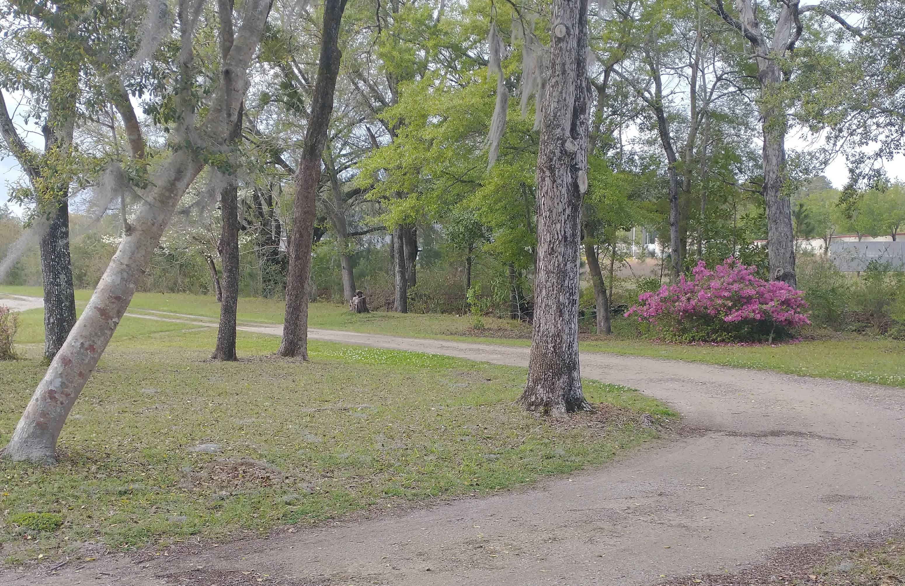 The campsite is located on the right side of the driveway. 