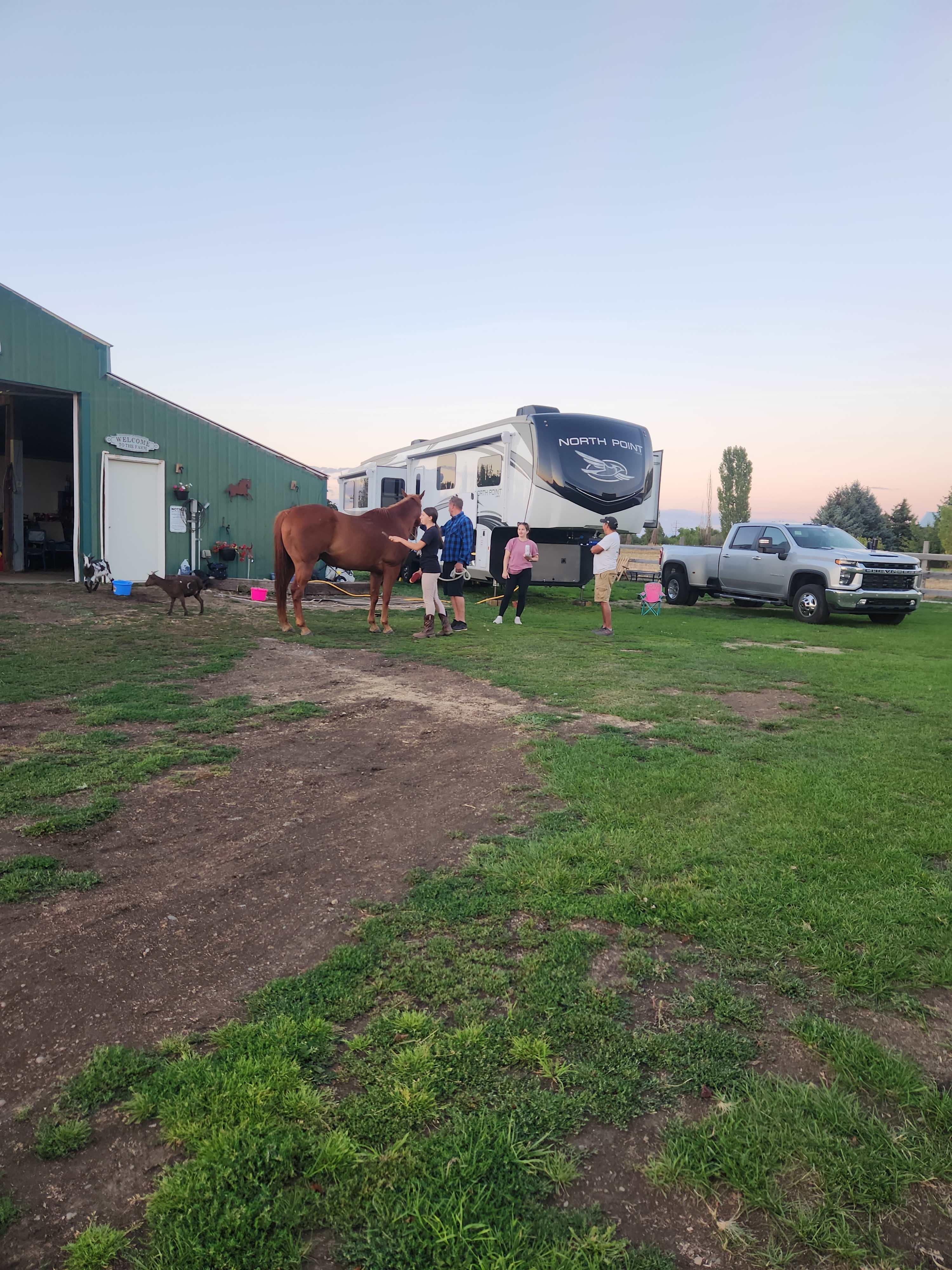 B-T-B Horse Boarding &  Hotel
