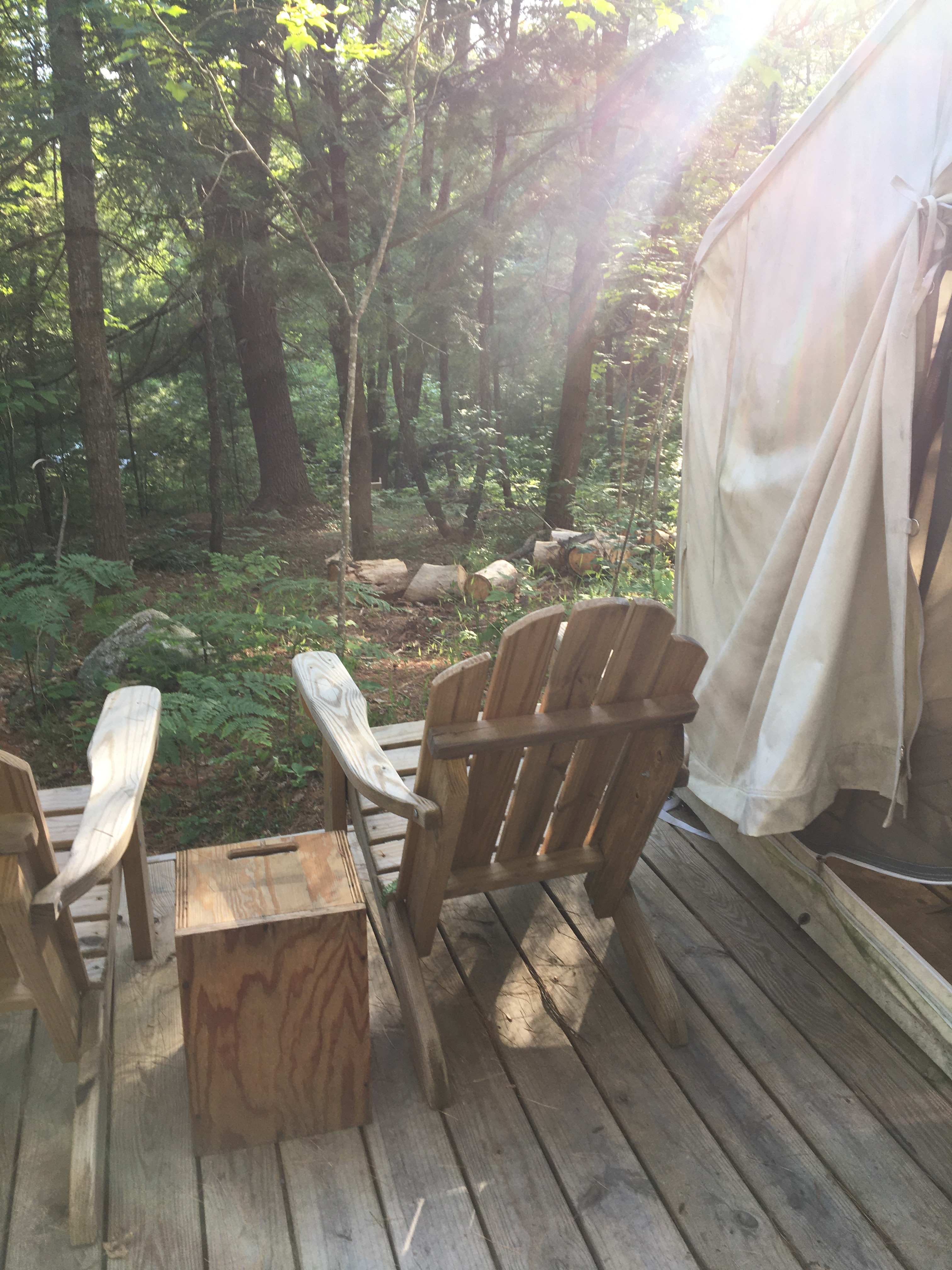 Crooked Run Stream visible through trees at the site from deck. 
