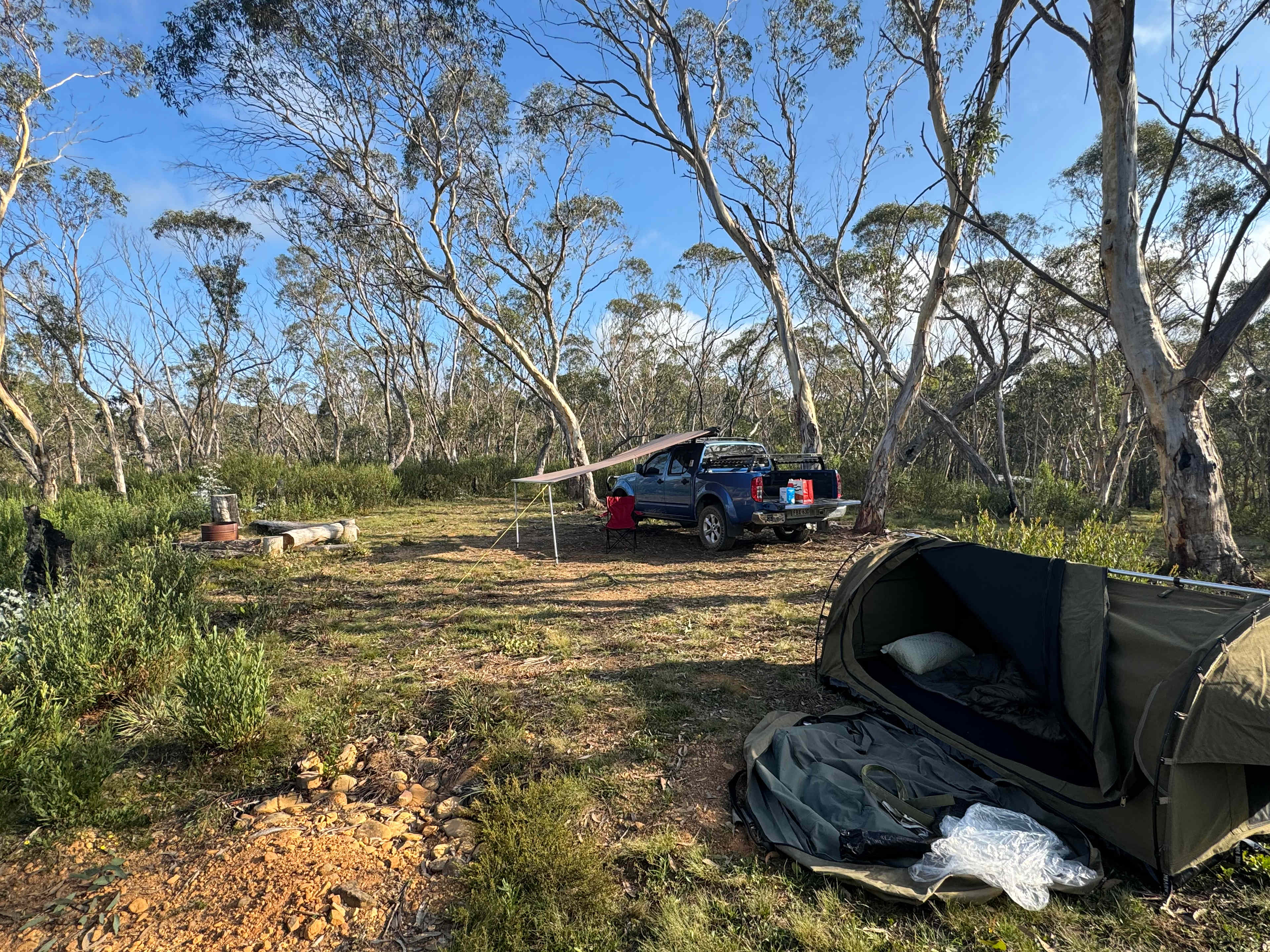 Scribbly Gum secluded bush camping