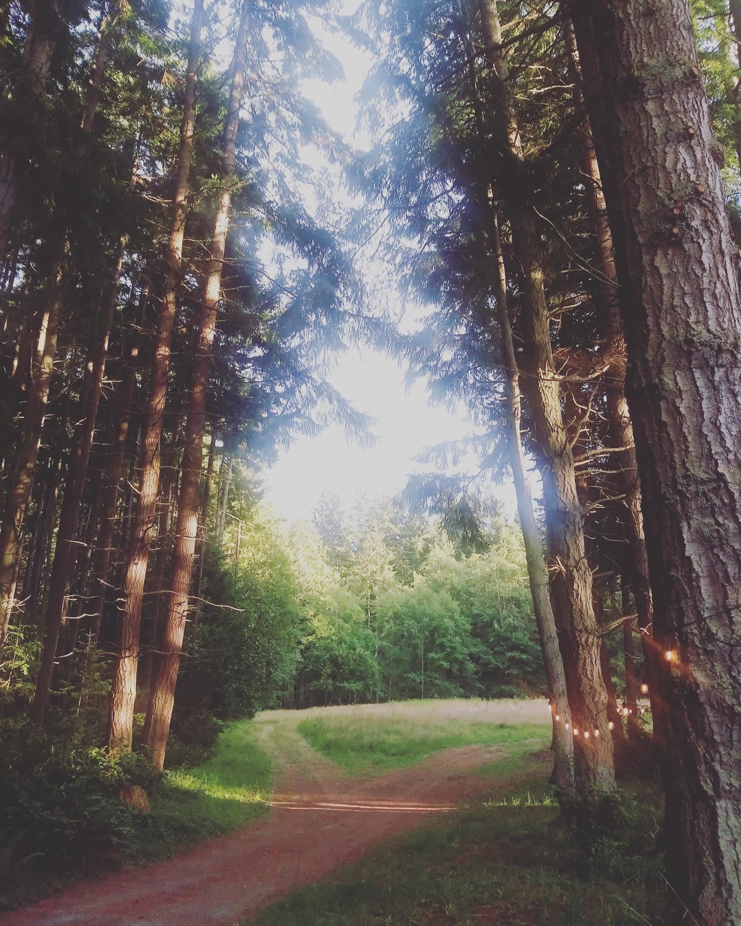 Wild Hearts on Whidbey