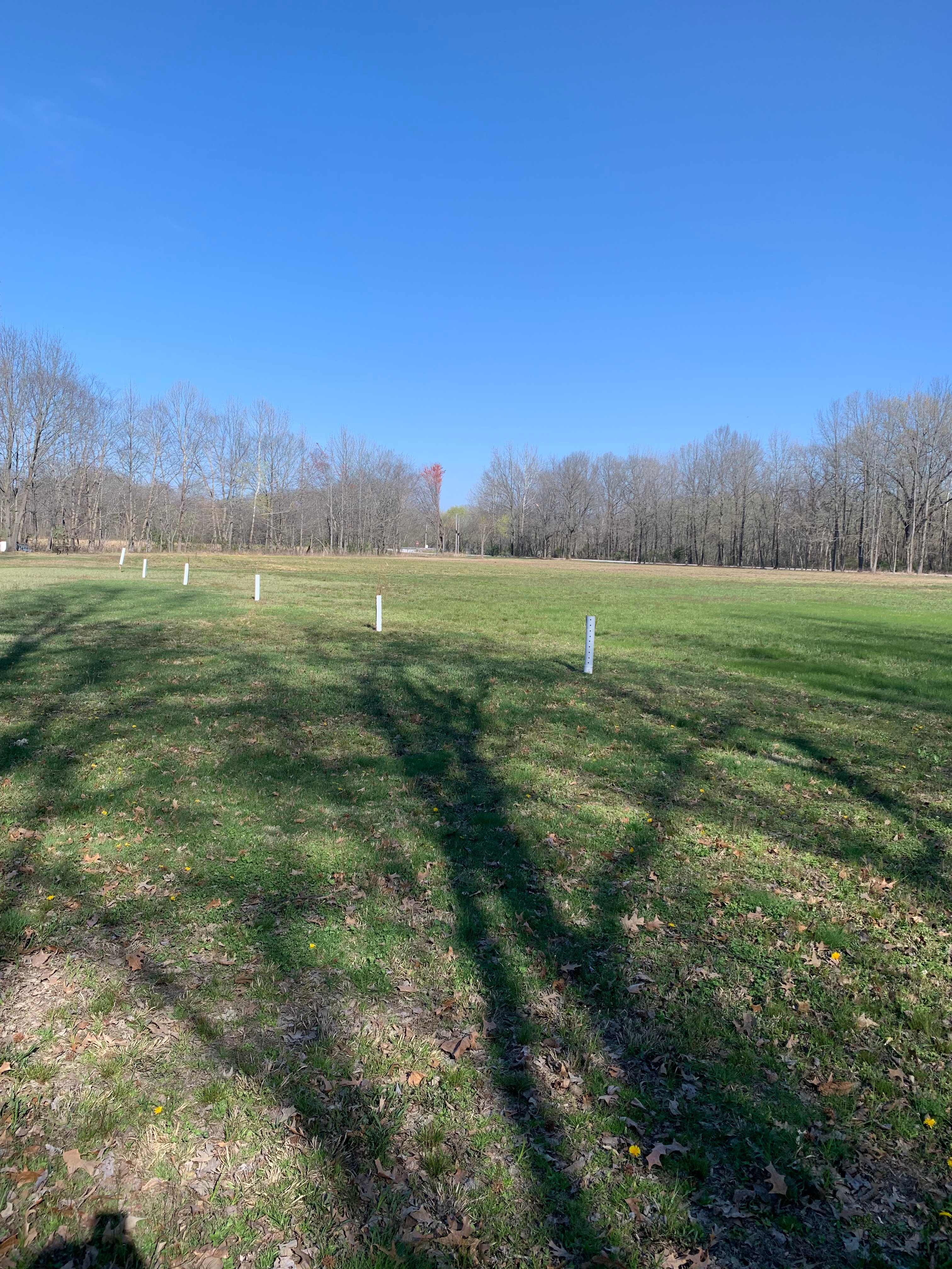 Rock Hole Meadow