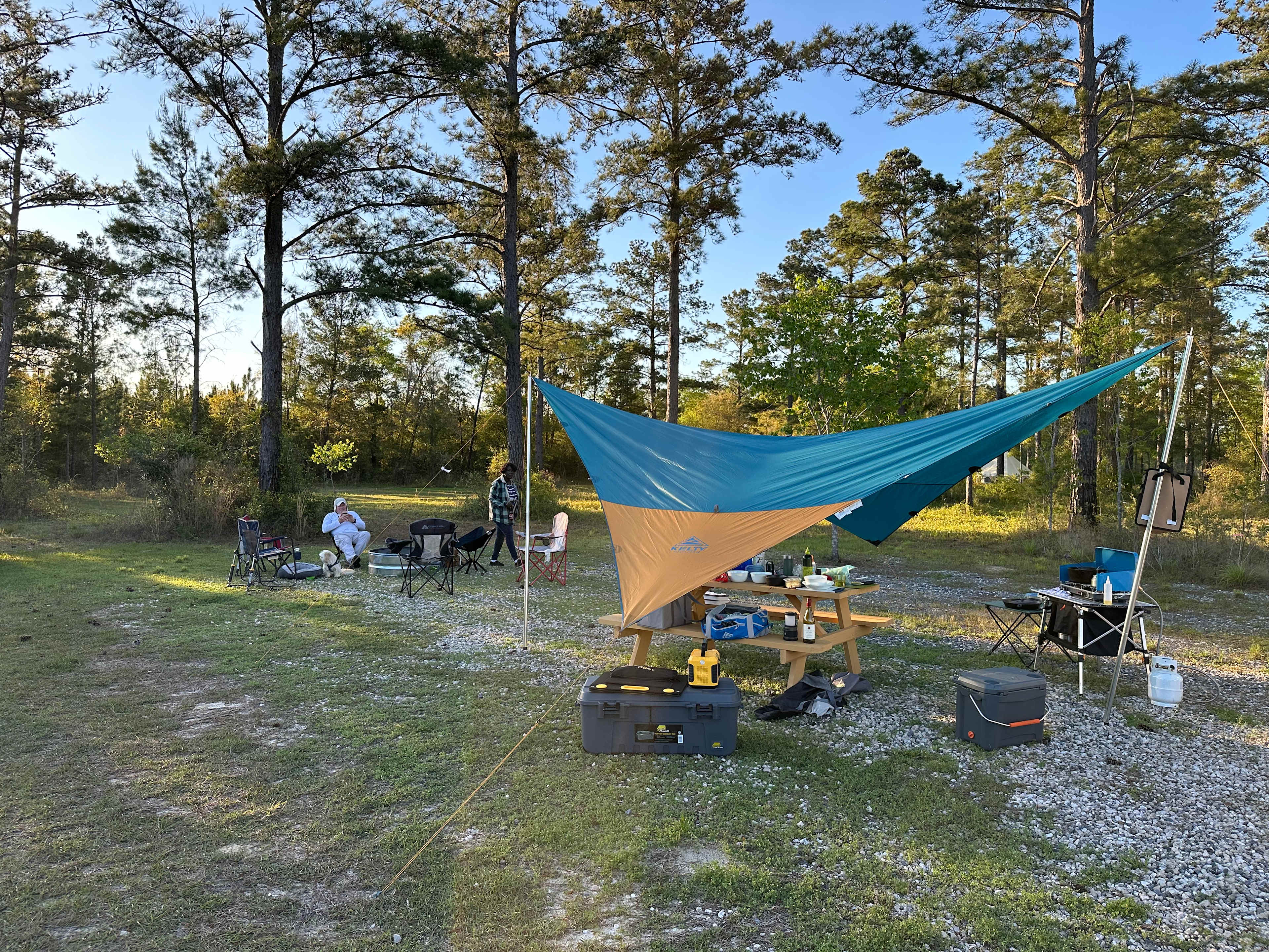 Picture of the site