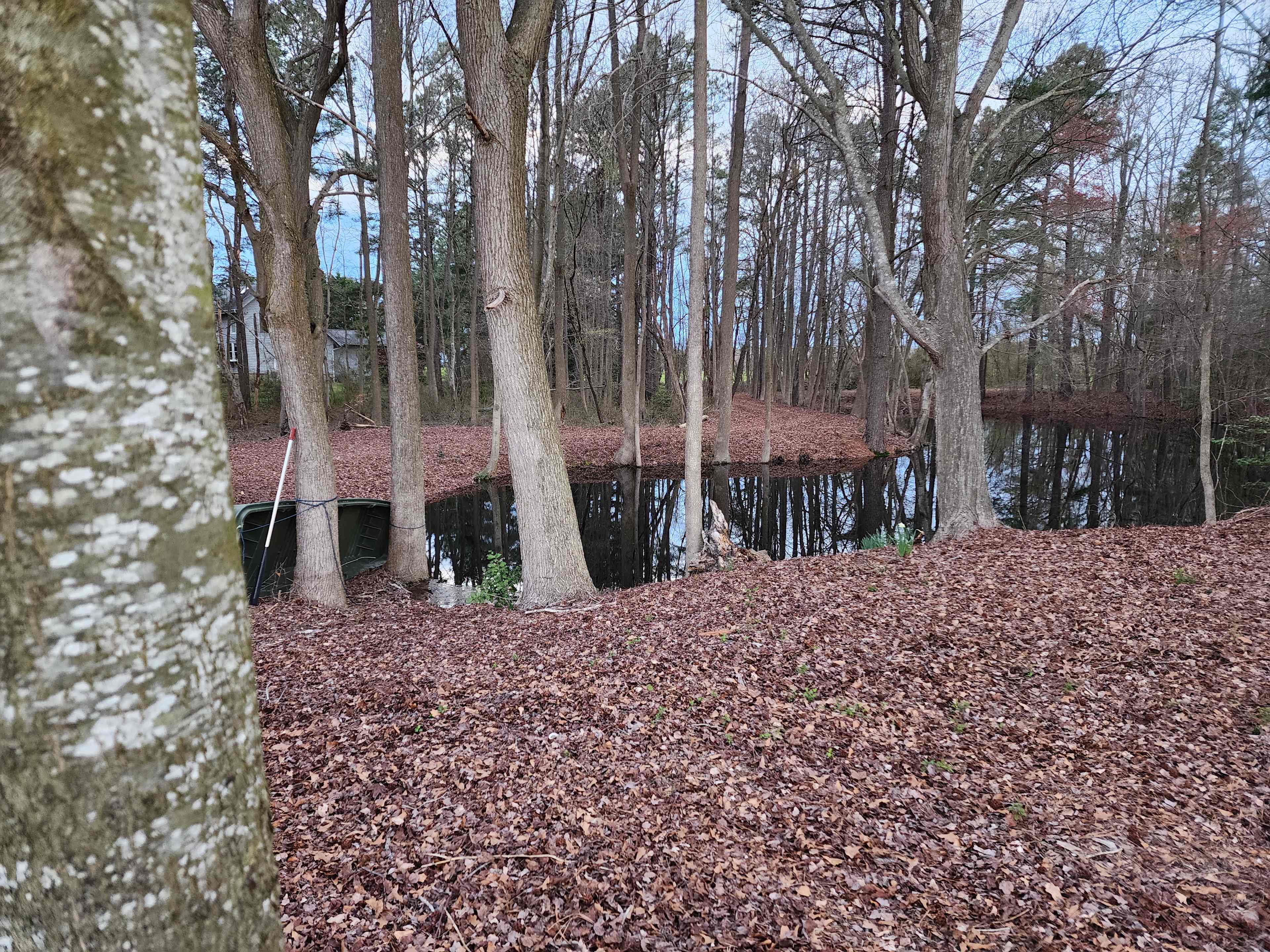 Pond
