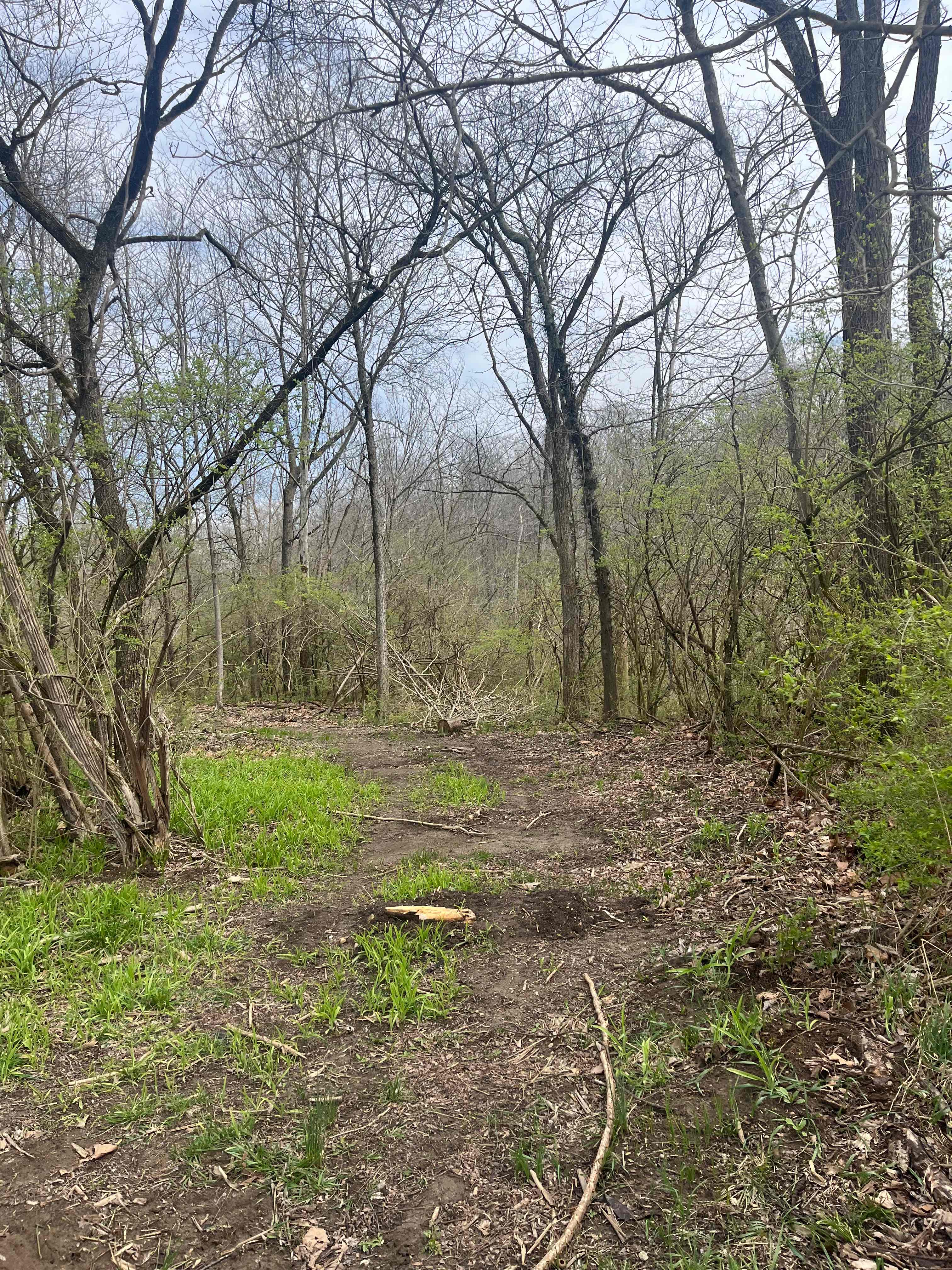 Quiet Creek Valley