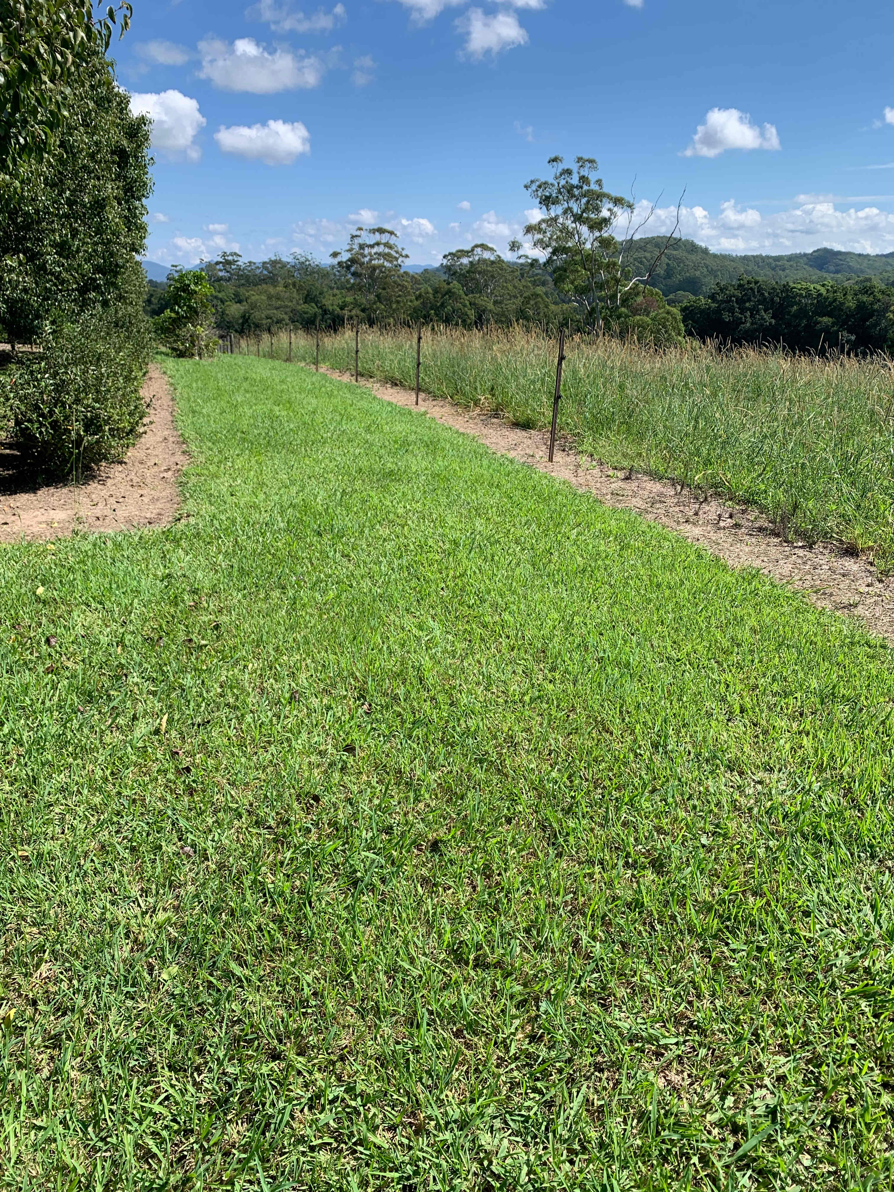 Level grassed area for your tent.
