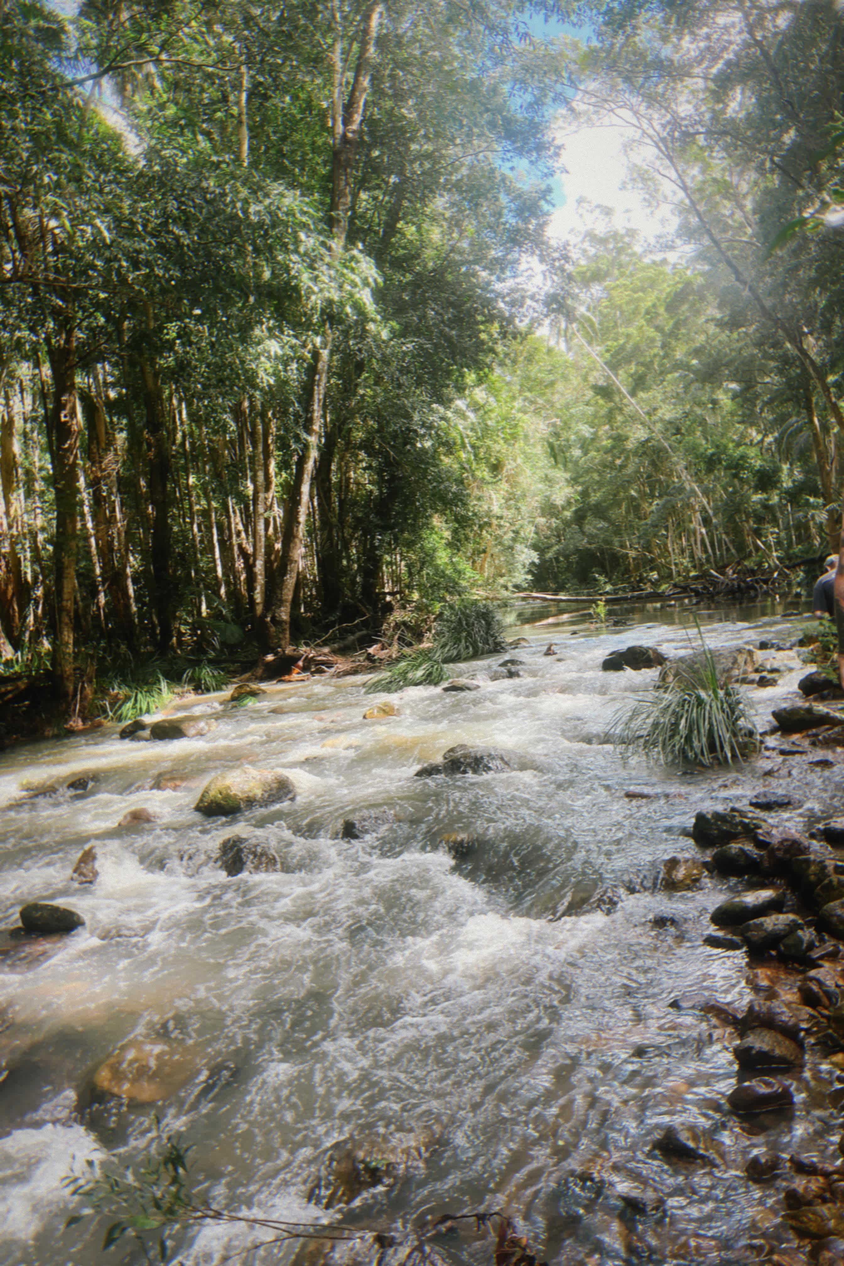 Browns Creek Camping