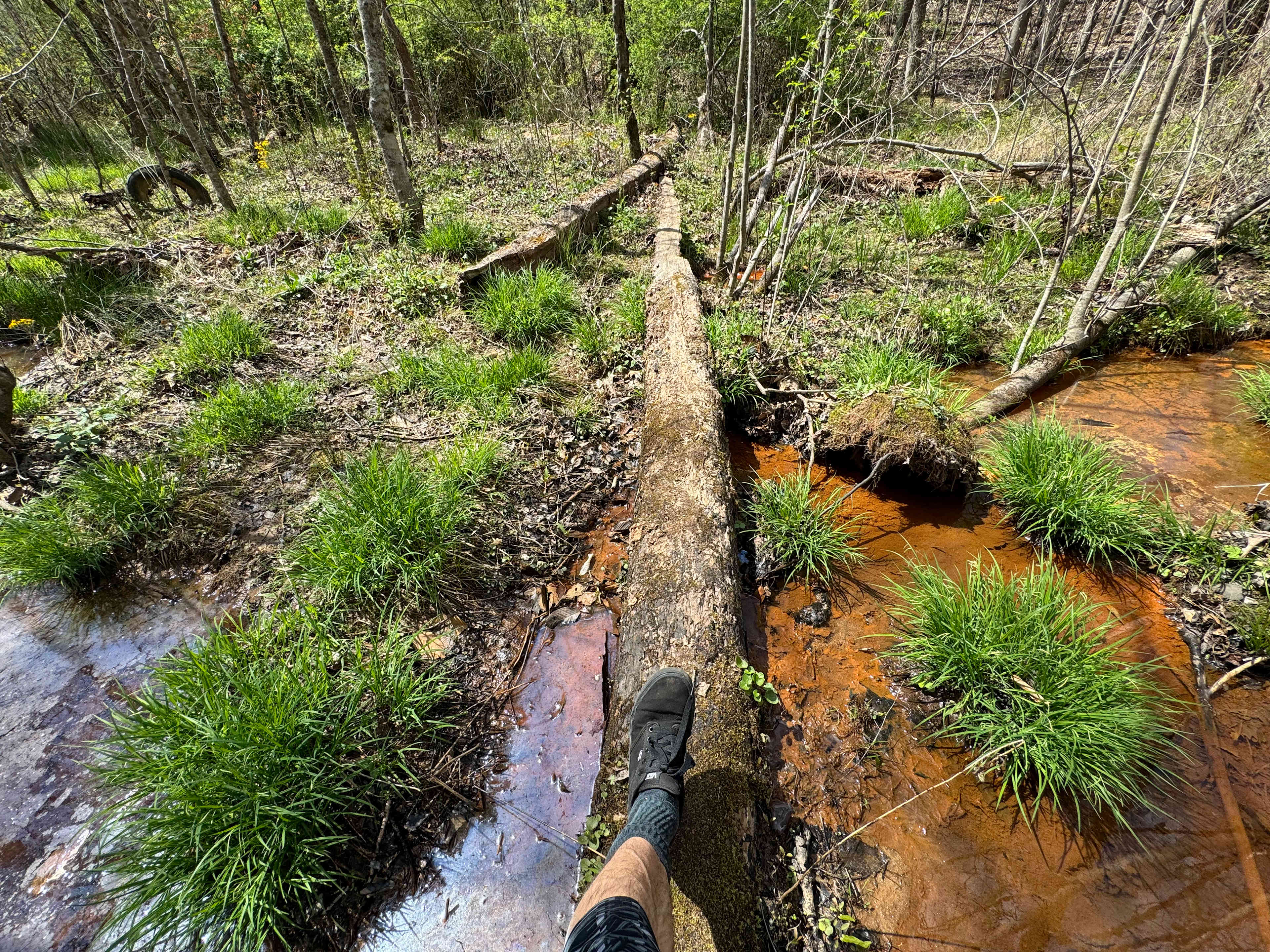 Living Woods on Ridgecreek