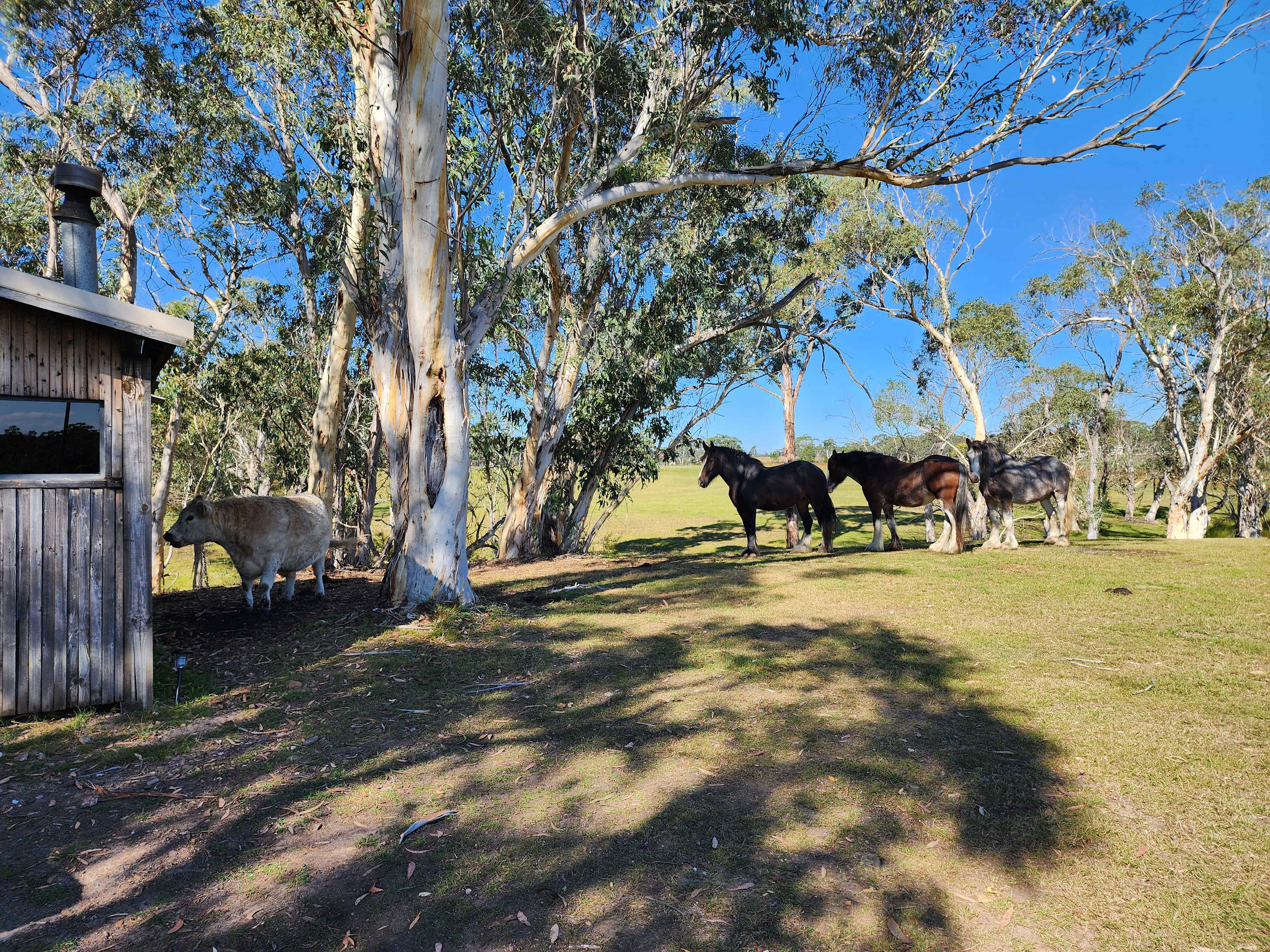 Truffle Farm Camping