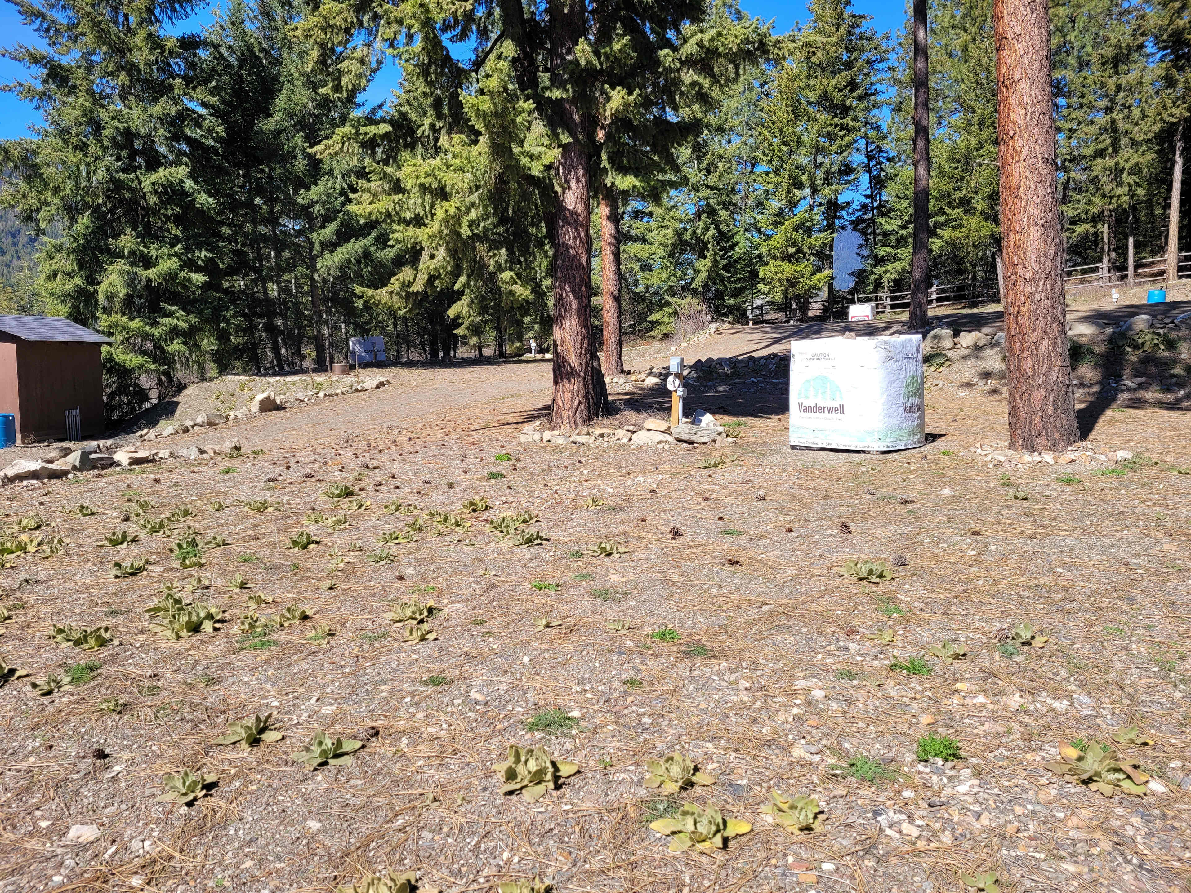 Picture of the site