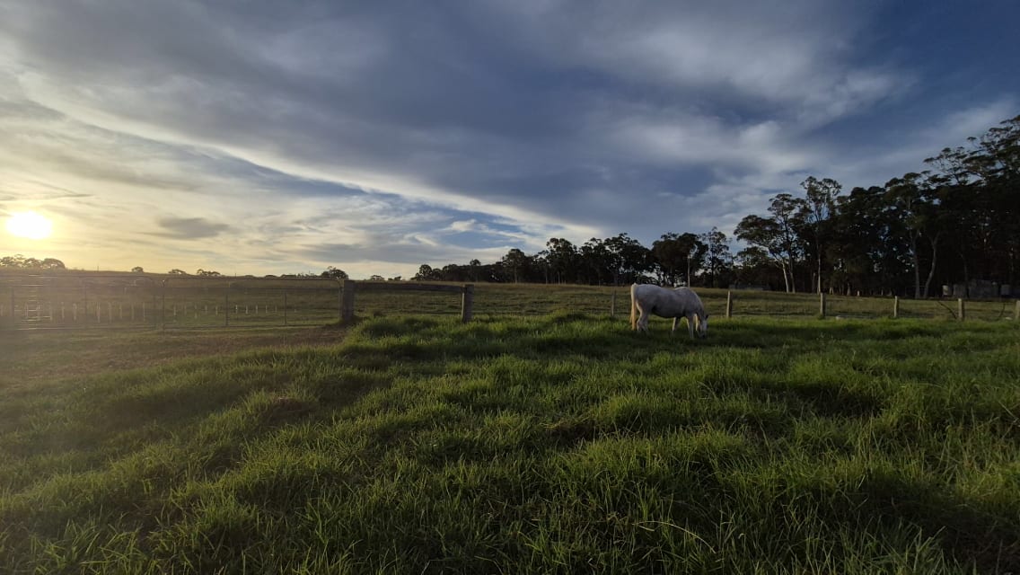 Fat Lamb Farm Camping