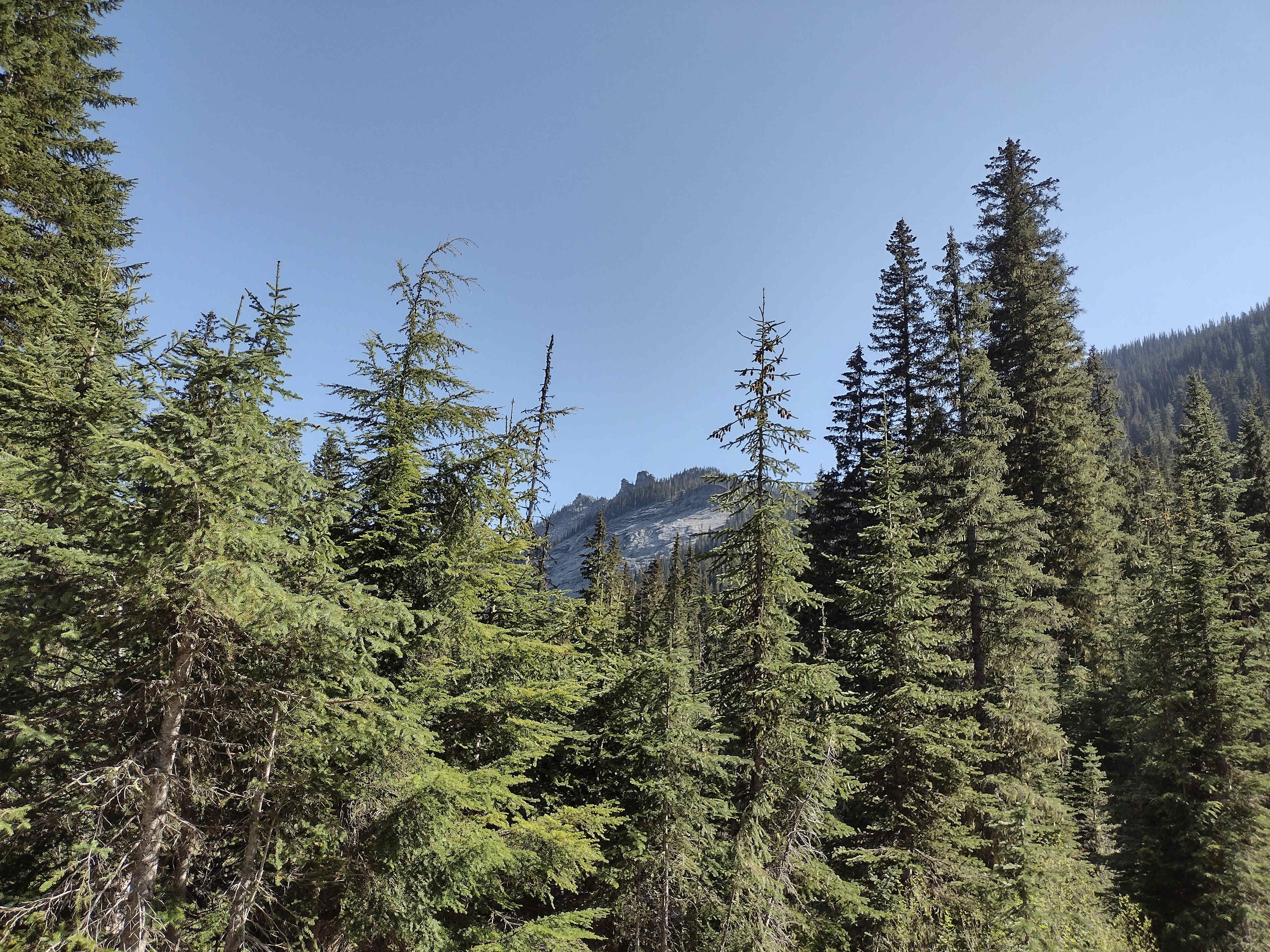 Cooks Mountain Camp