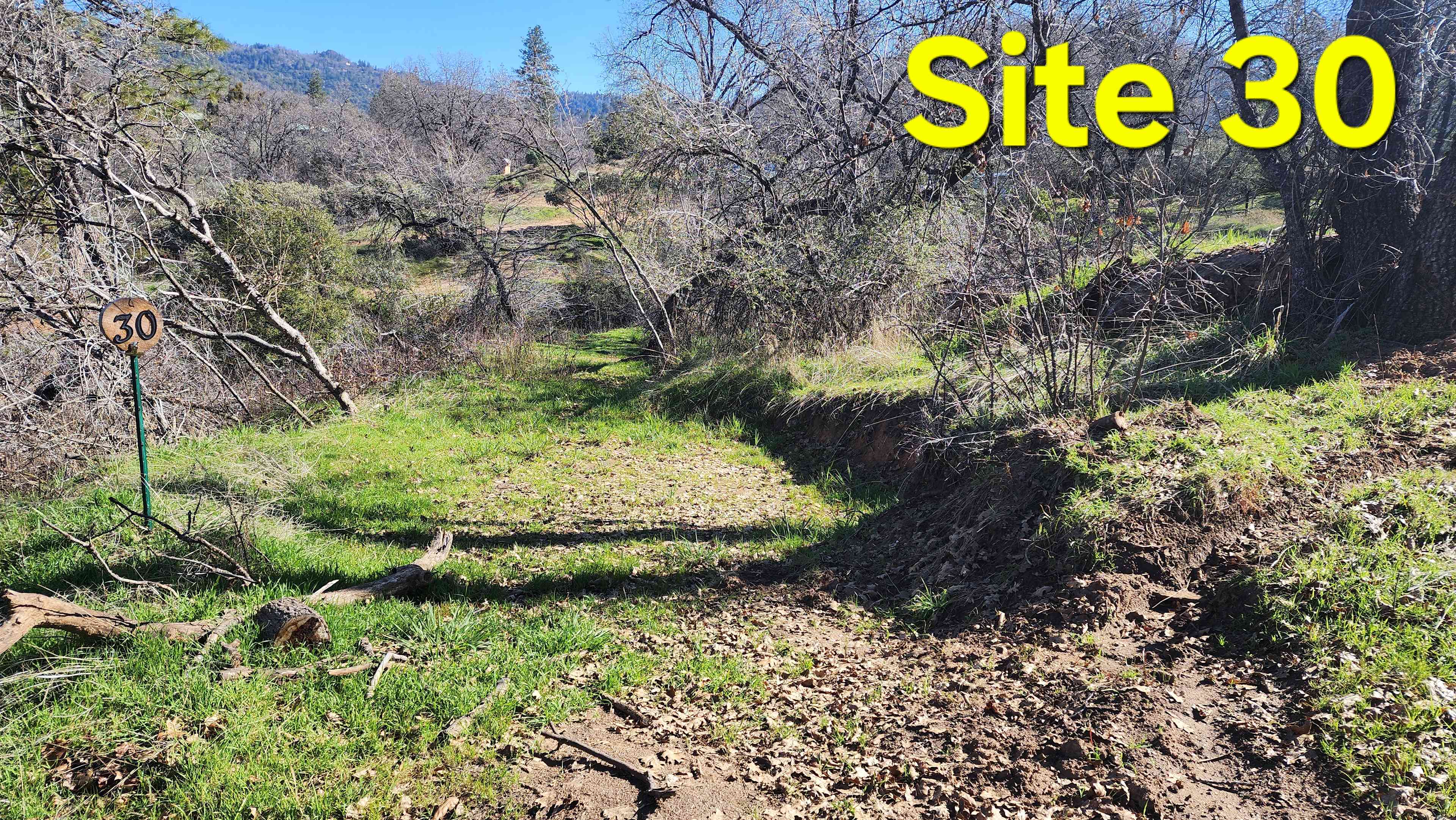 Picture of the site