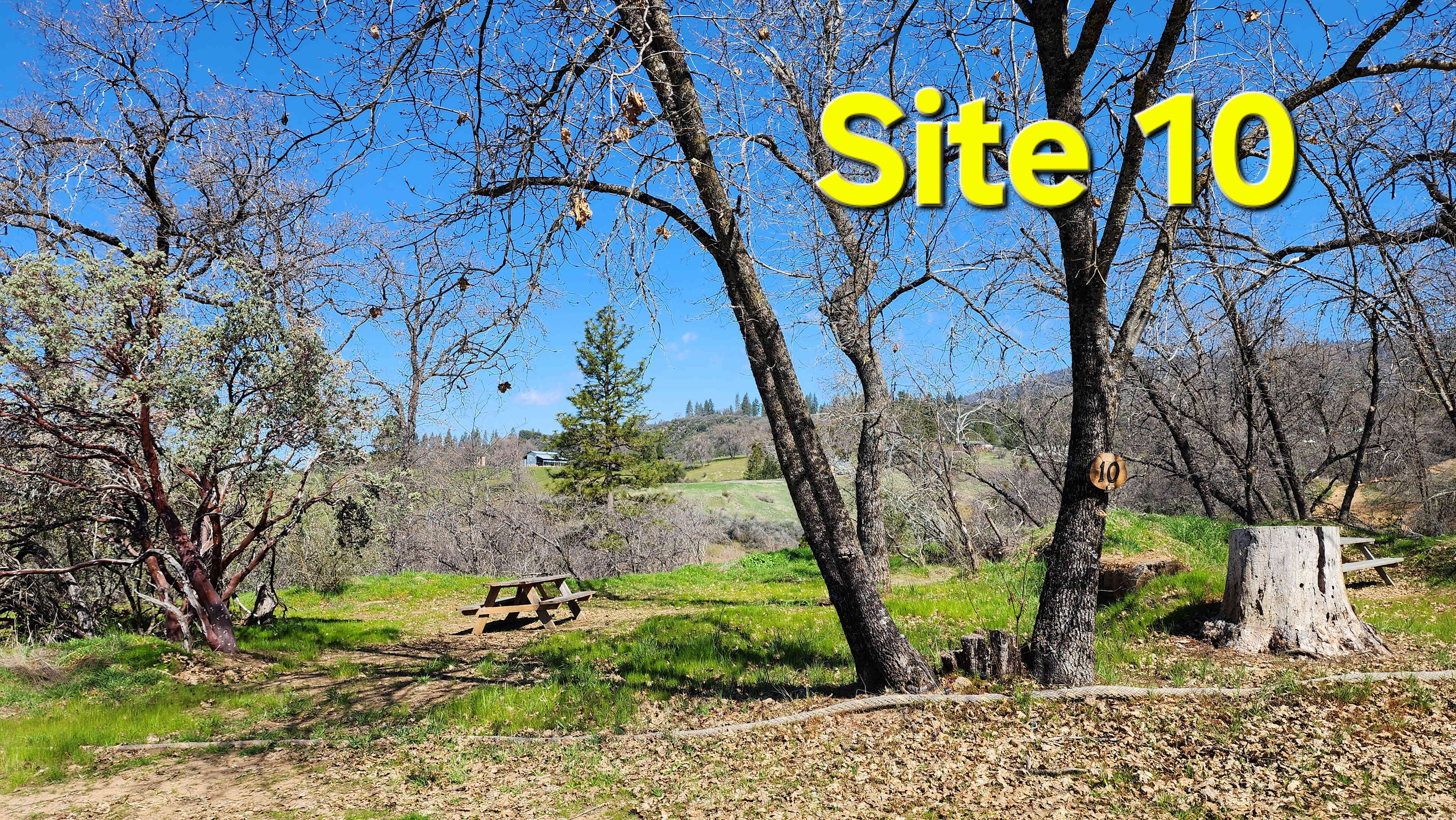 Picture of the site