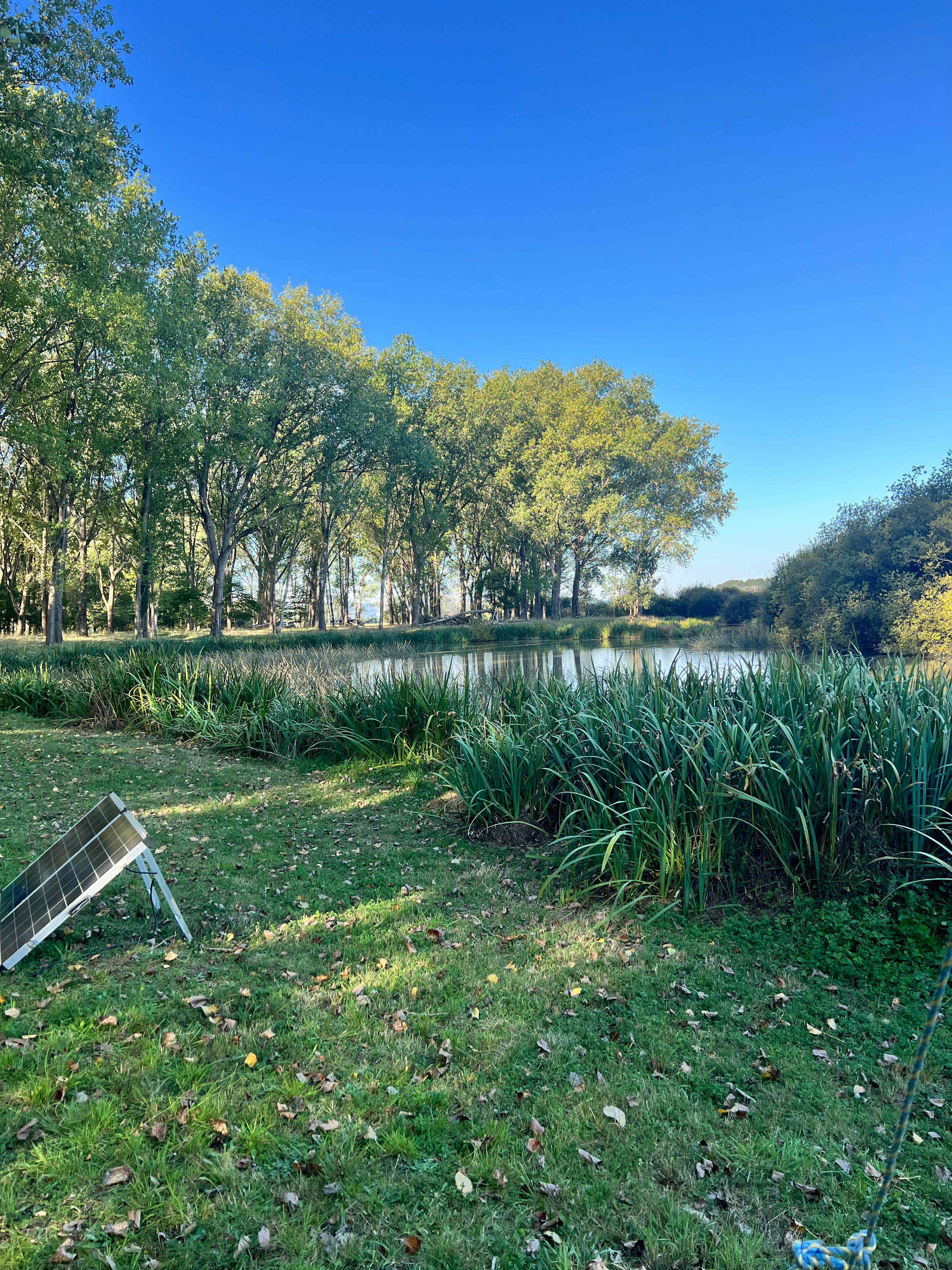 Wings of the Carribee