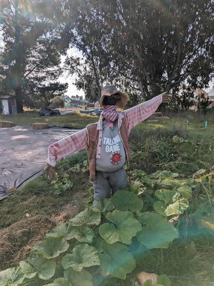 scarecrow