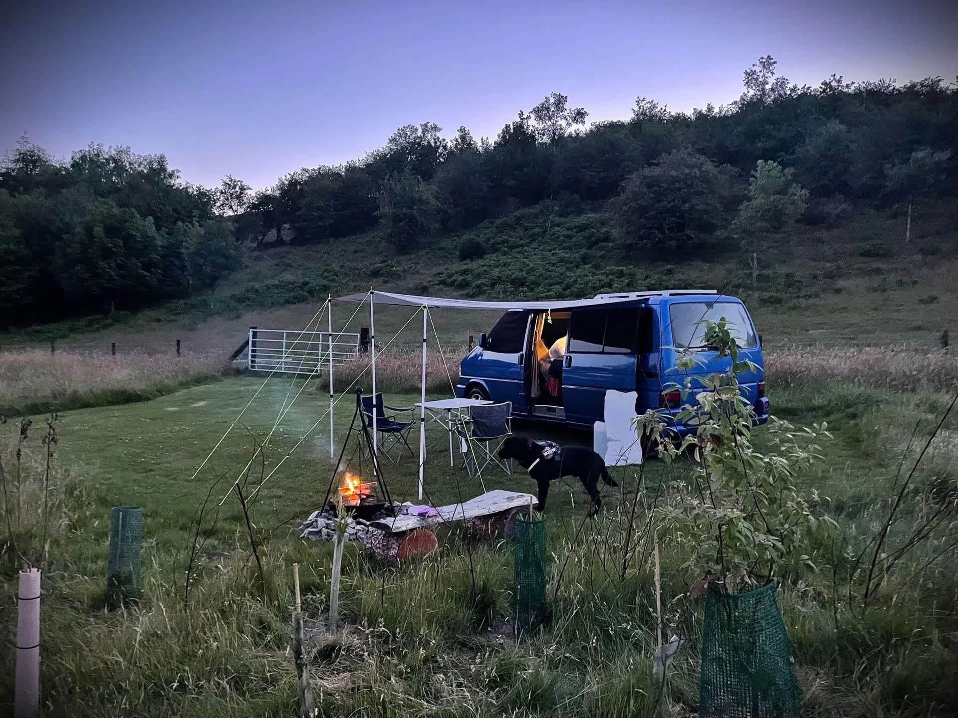 Picture of the site