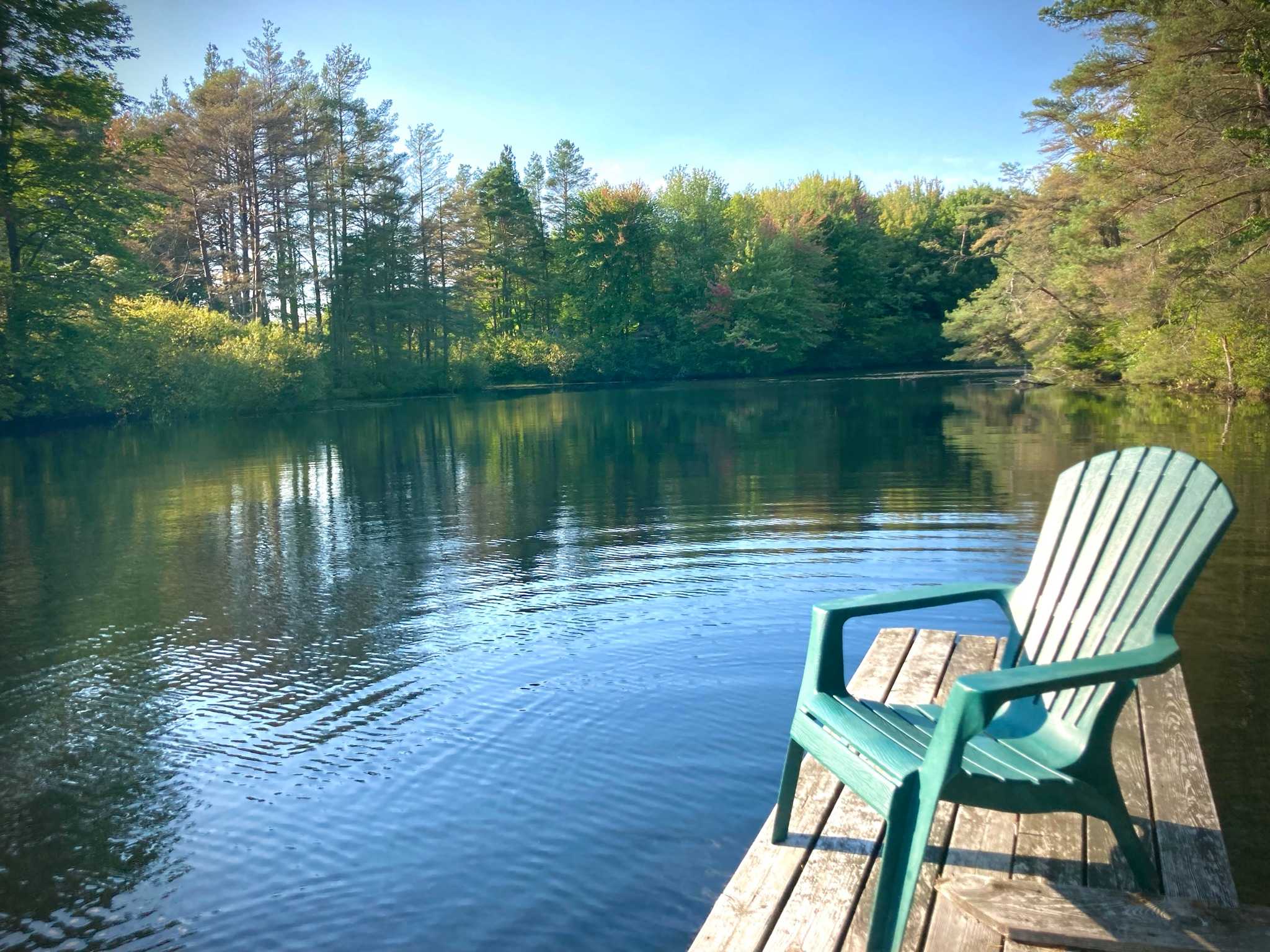 Camp on the Organic Blueberry Pond!