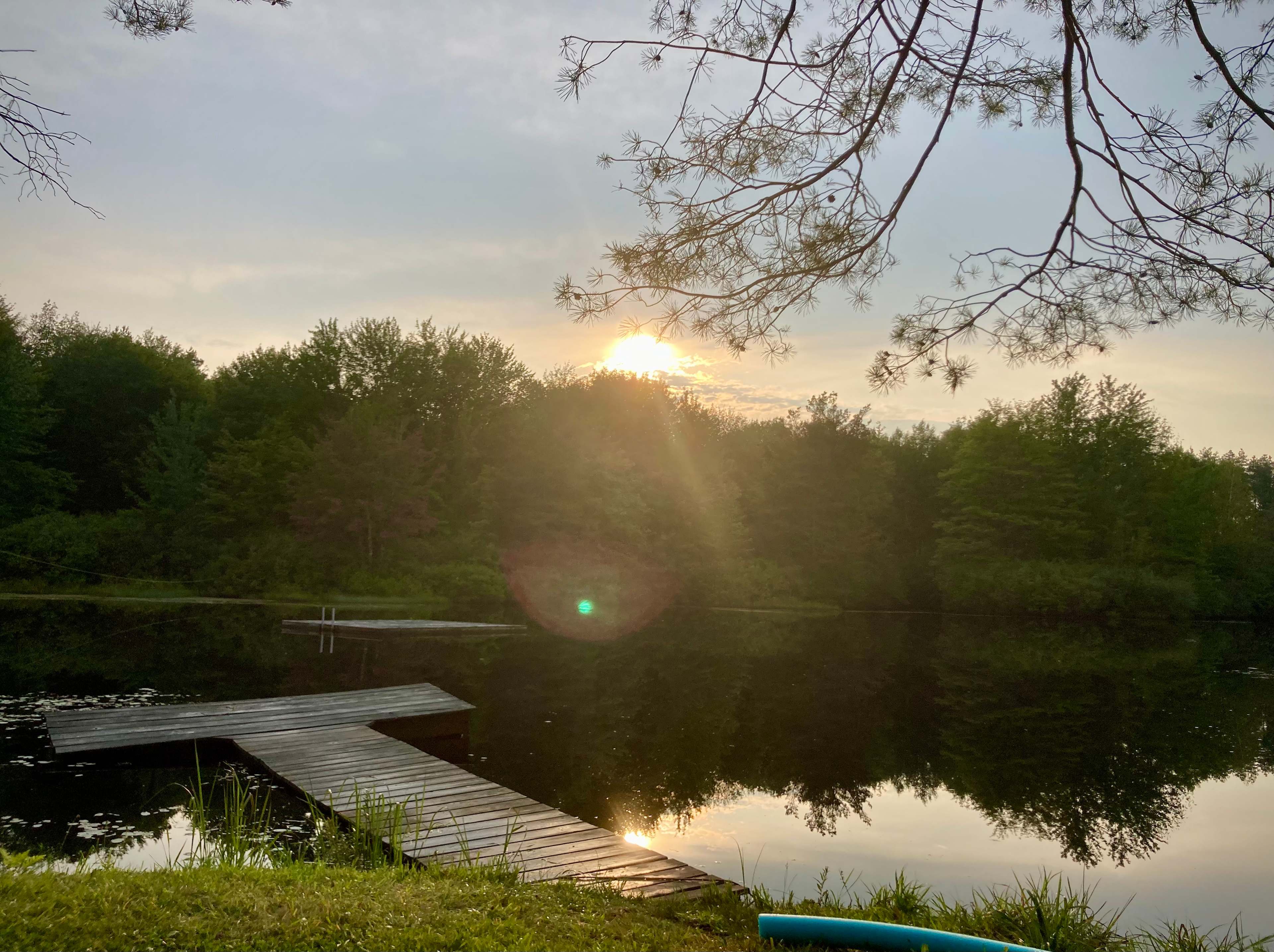 Camp on the Organic Blueberry Pond!