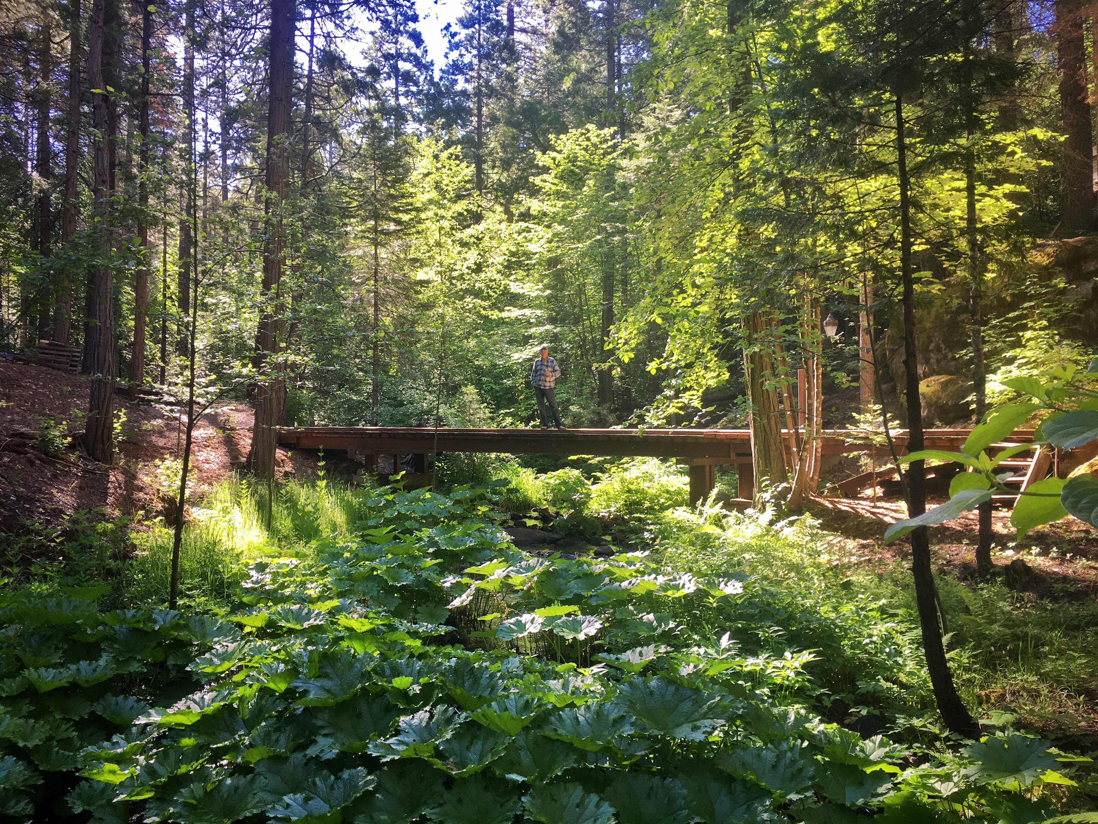 Comfort Camping on Love Creek