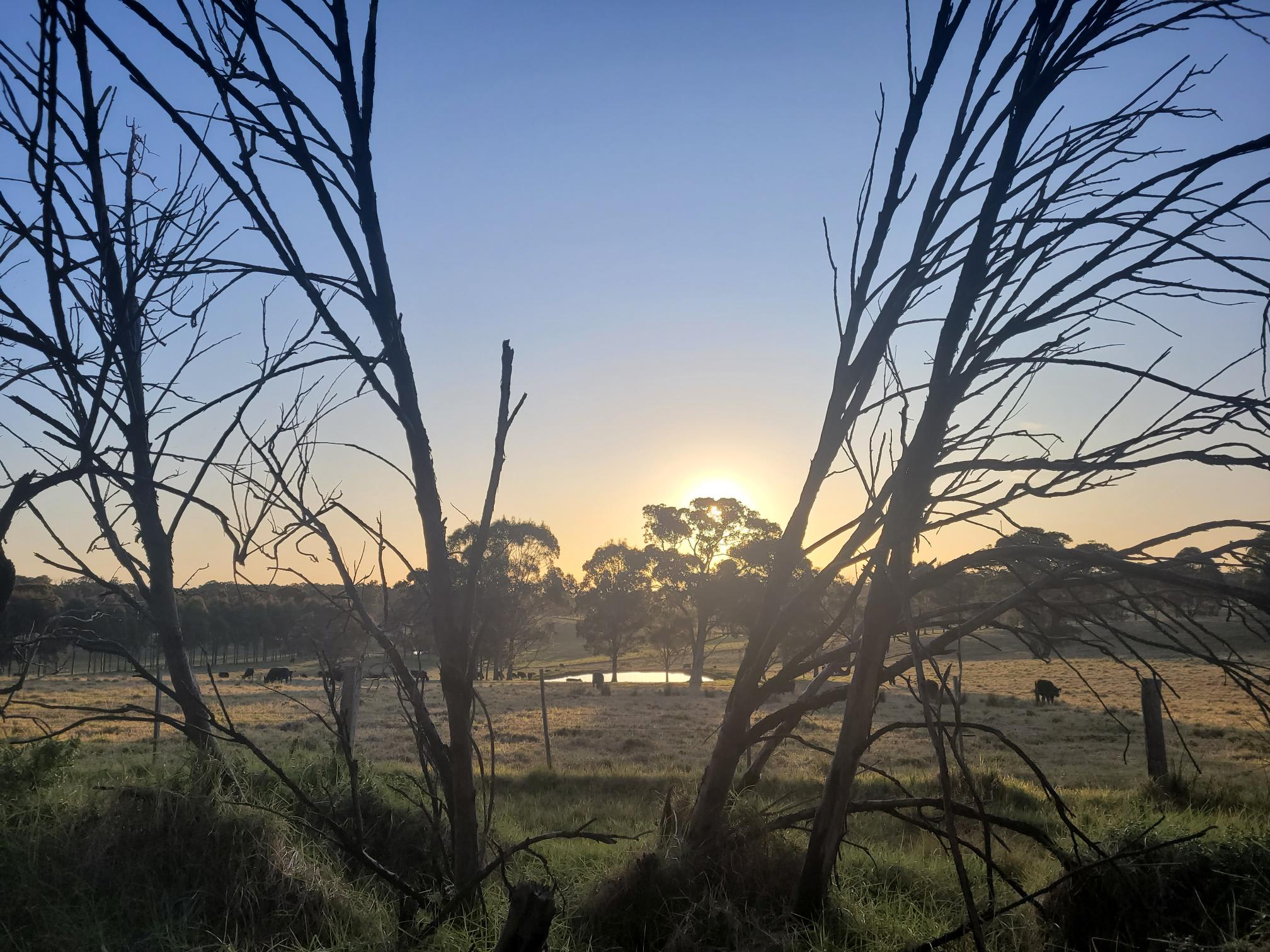 The Barn - a cute and cozy retreat