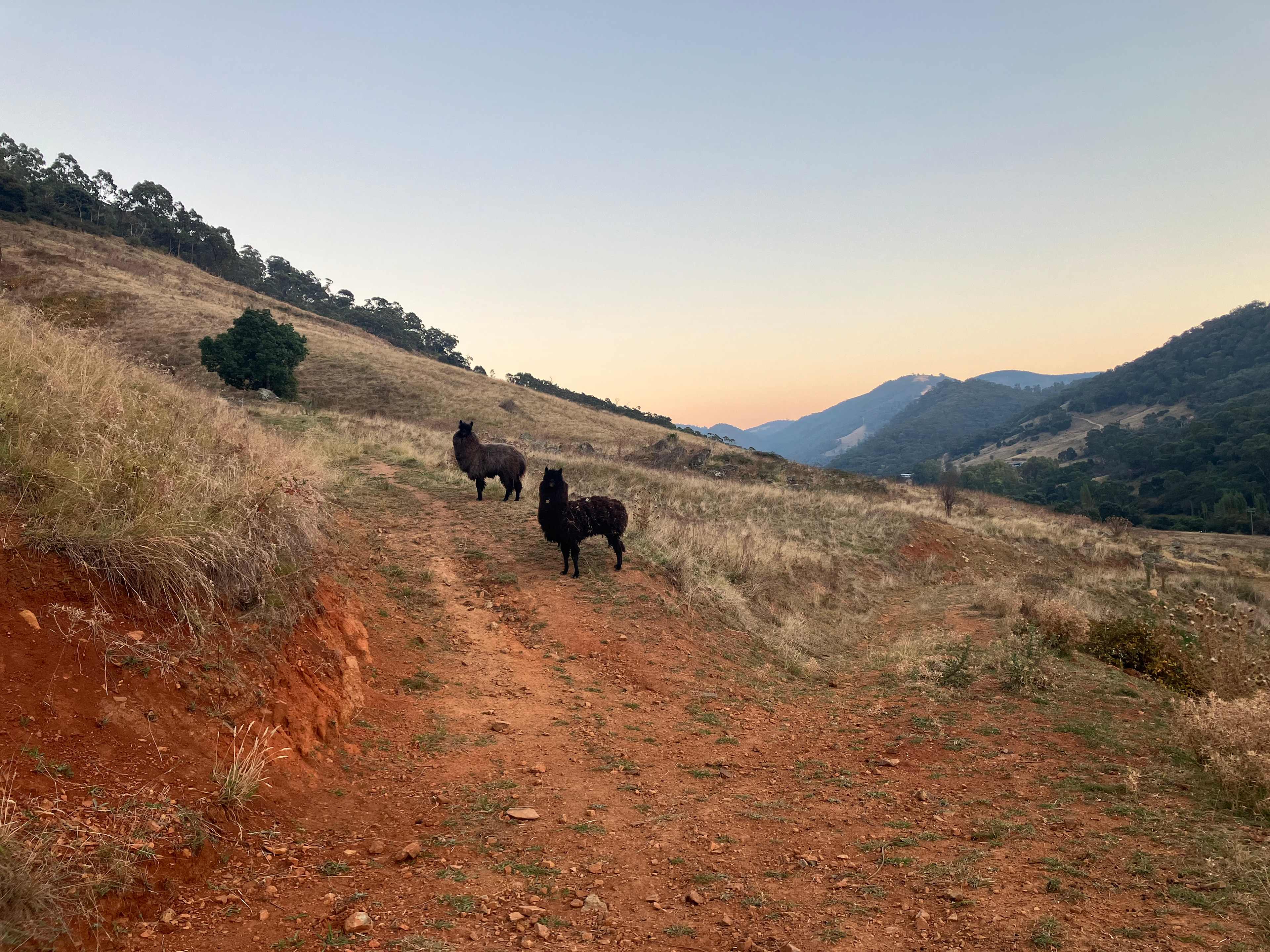 Valley views