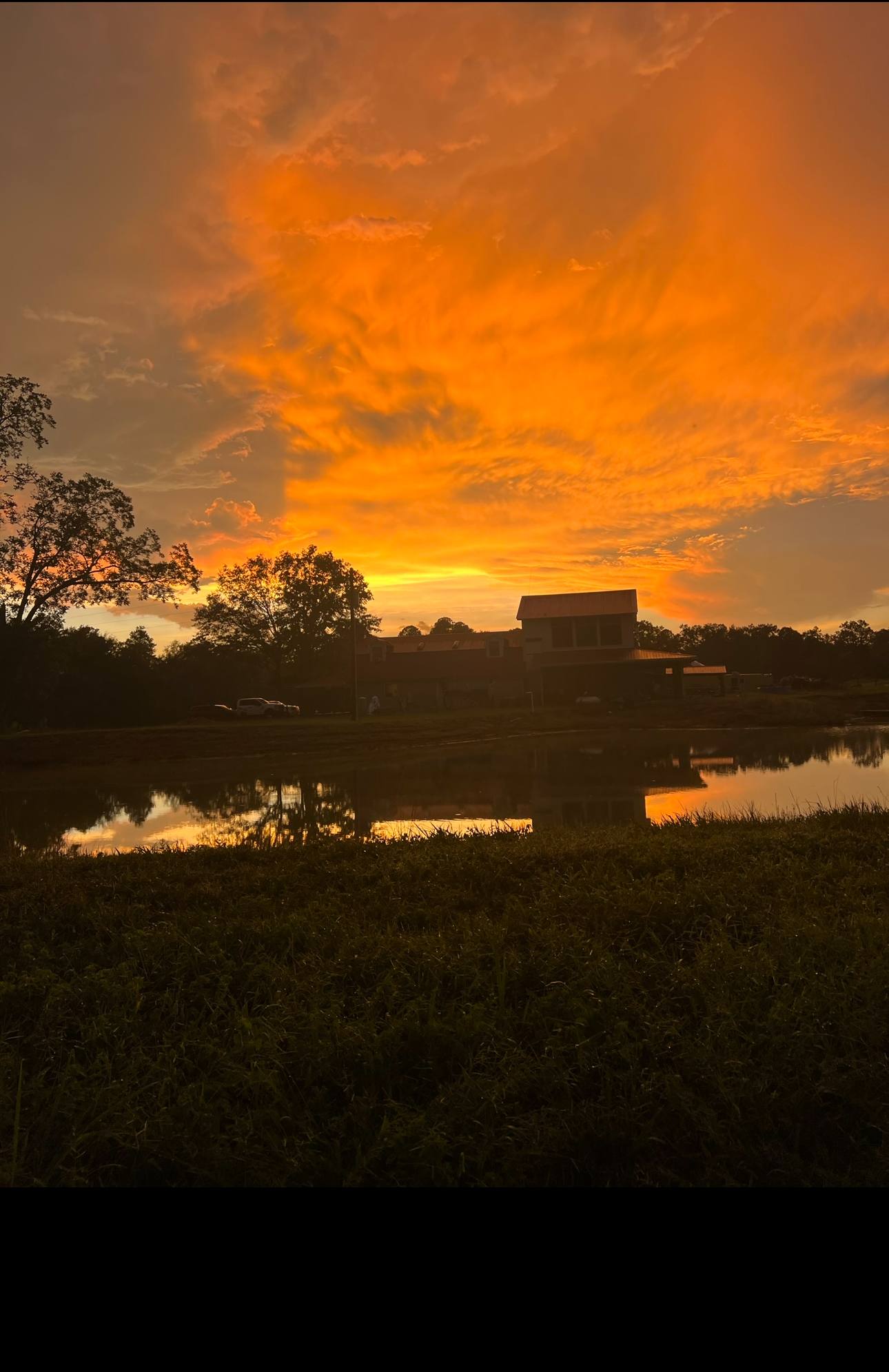 Ellis Farms
