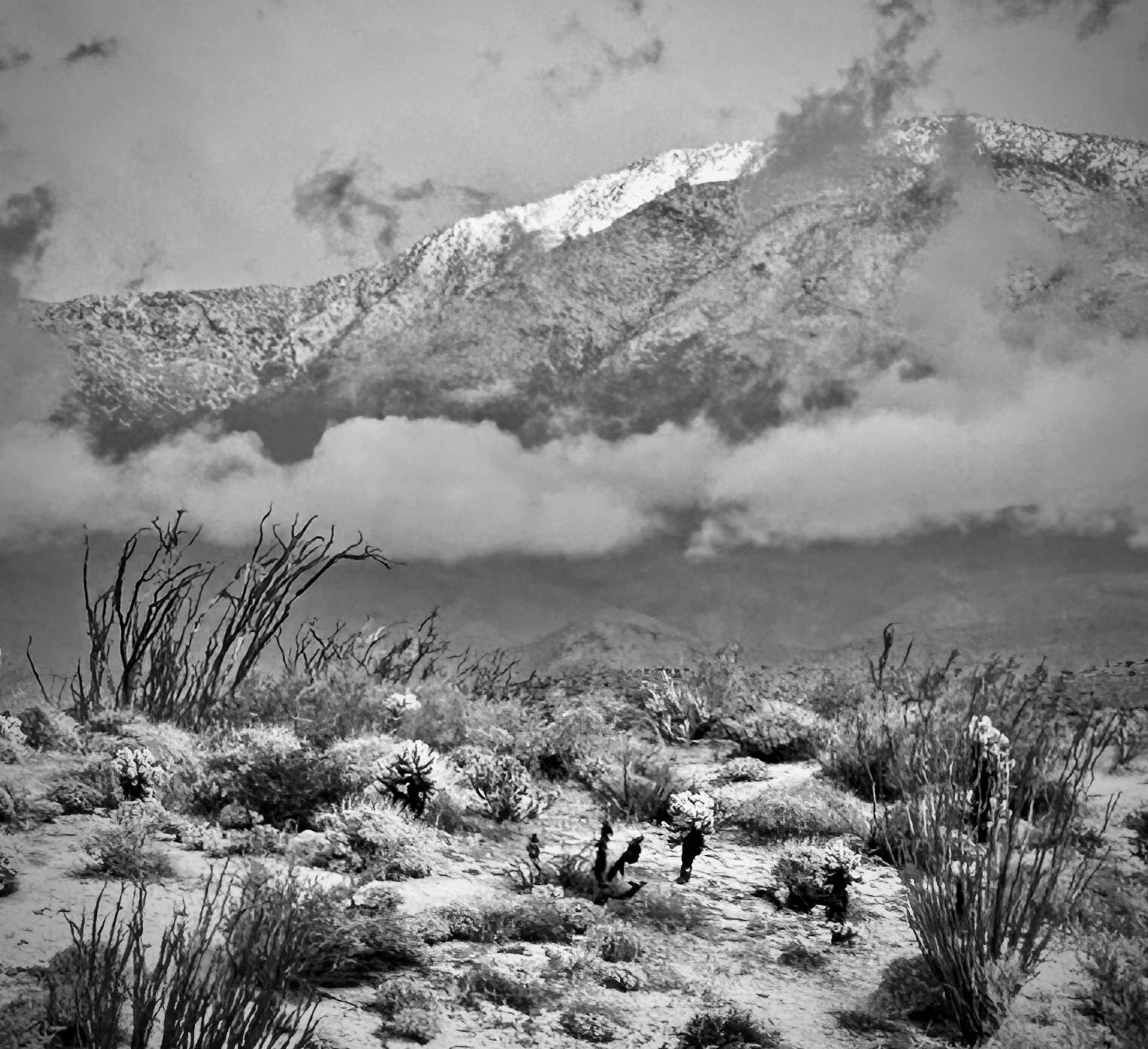 Dark Sky Wilderness Retreat