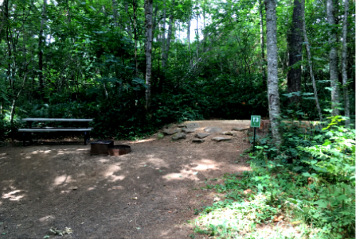 Picture of the site
