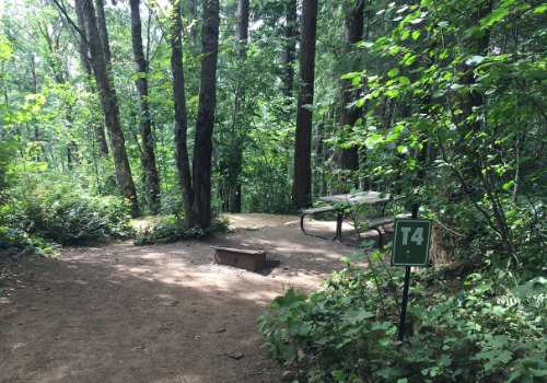 Picture of the site