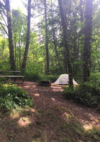 Picture of the site