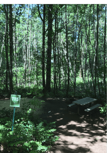 Picture of the site