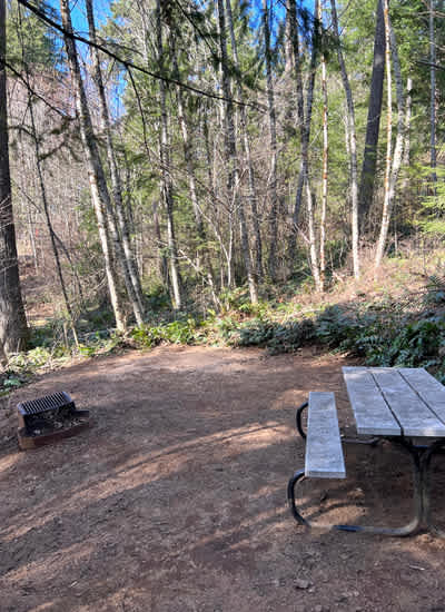 Picture of the site