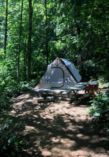 Picture of the site