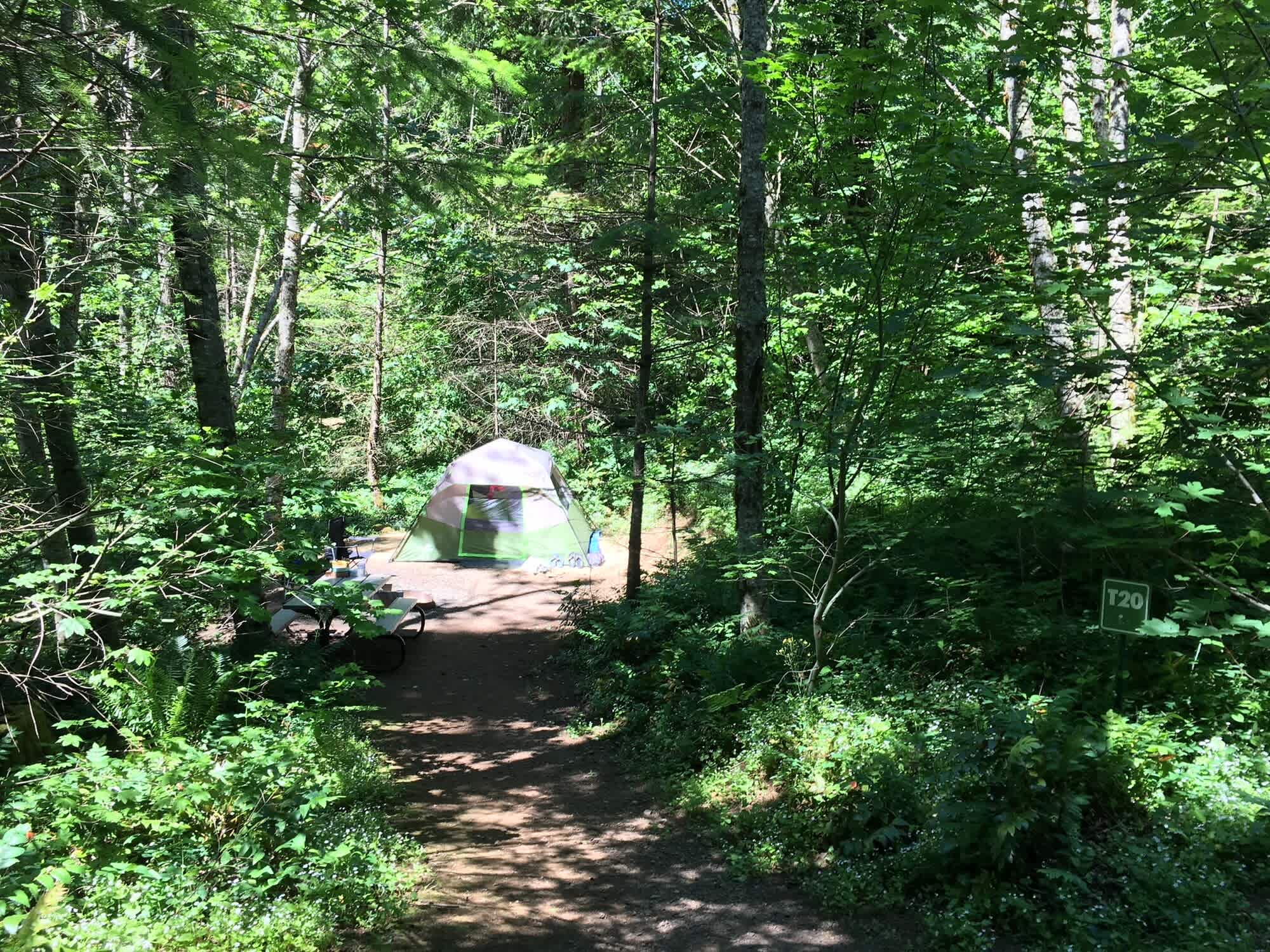 Picture of the site