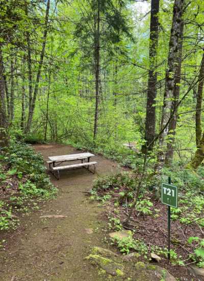 Picture of the site