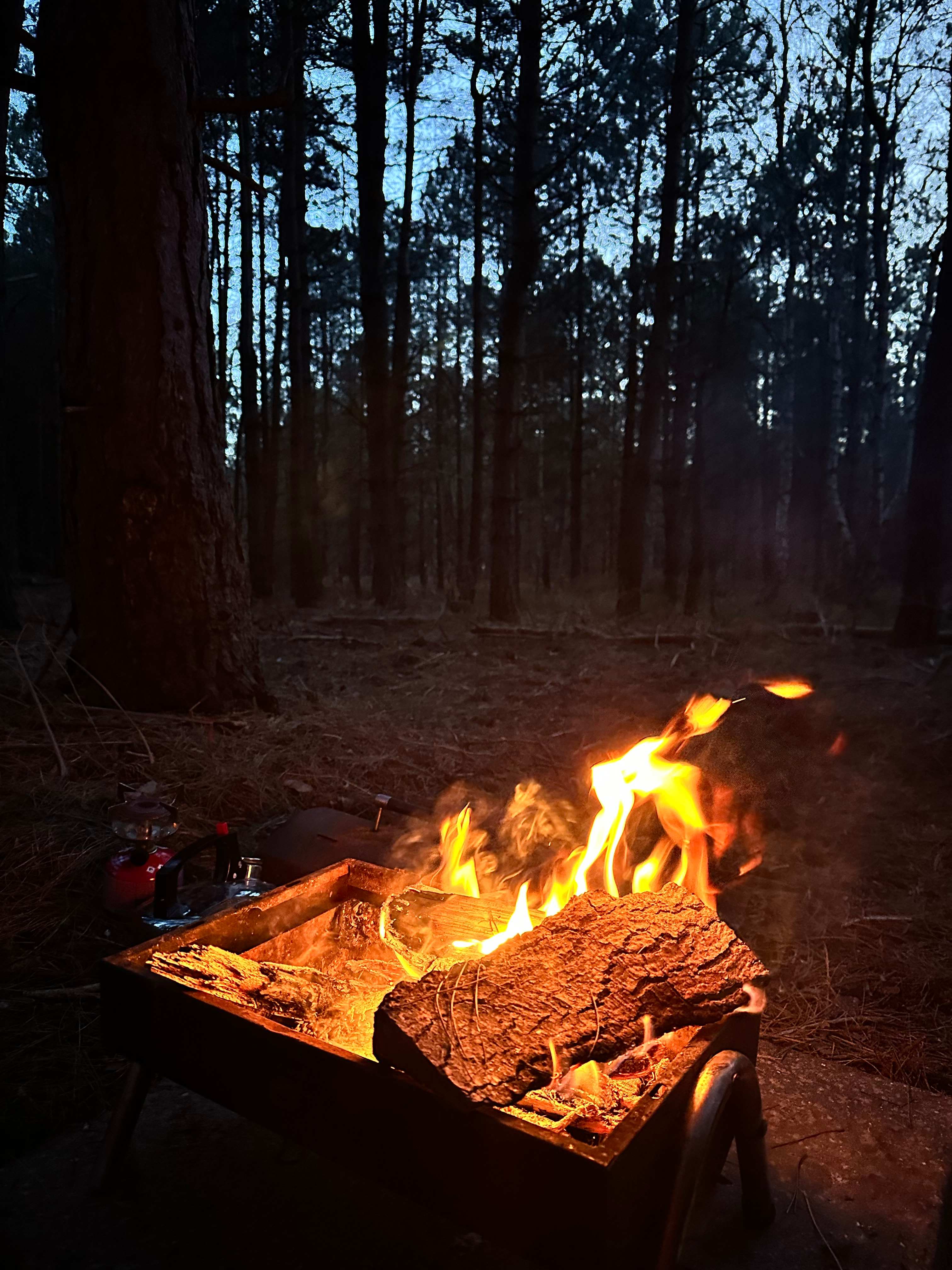 Holistic Woods Campsite WILD