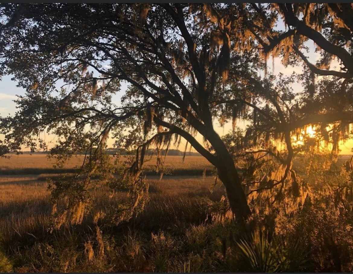 Bennetts Point 31